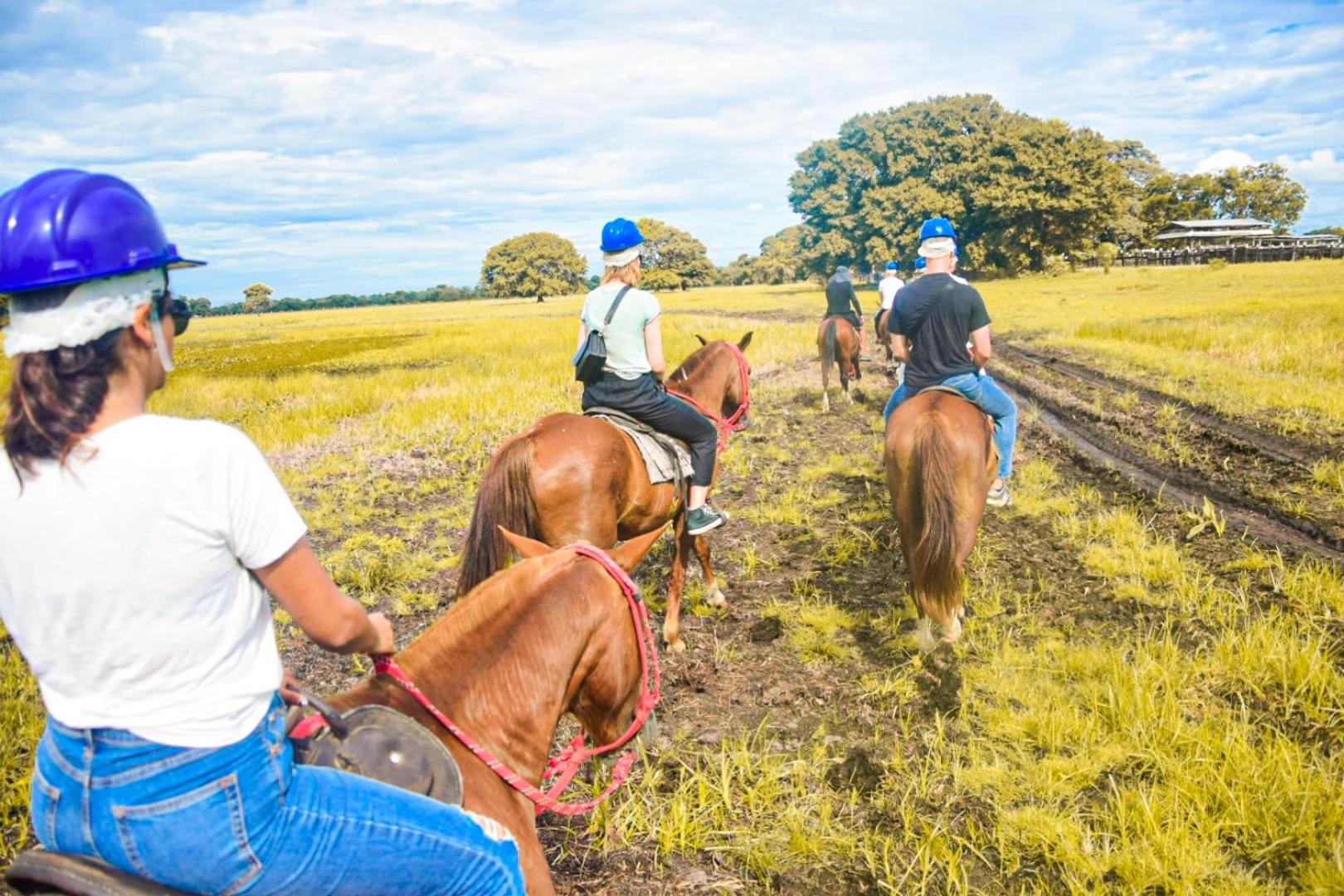 Pousada São João - Estrada Parque Pantanal