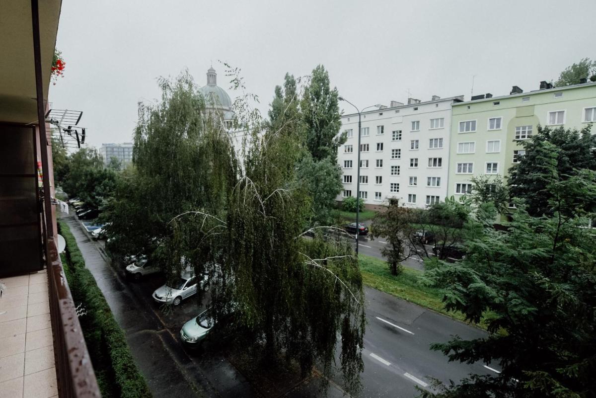 Cosy Studio in University District-Free Parking with gate! view 3