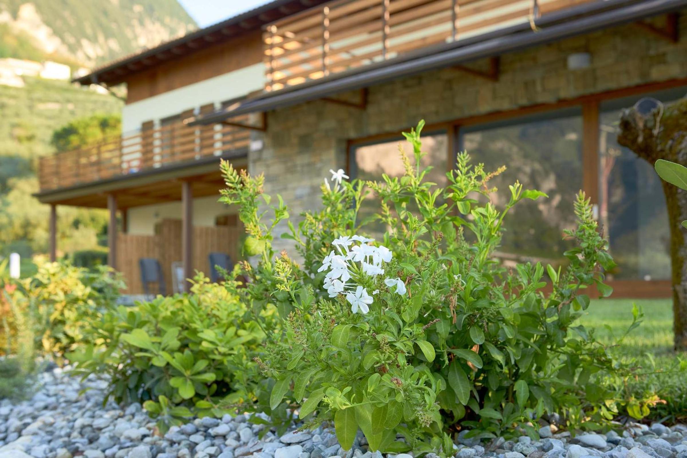 Agriturismo De Bas