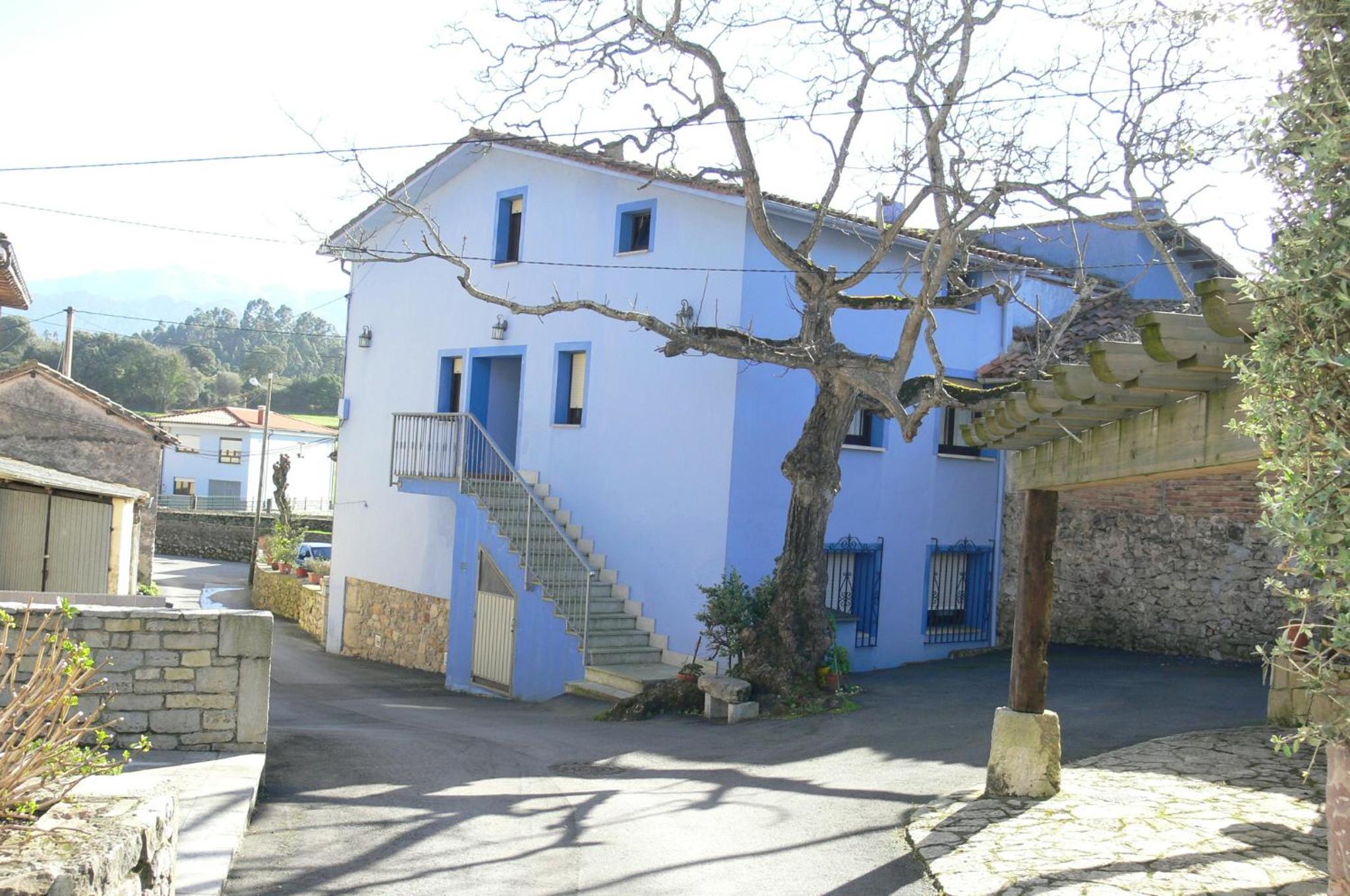 Photo 41