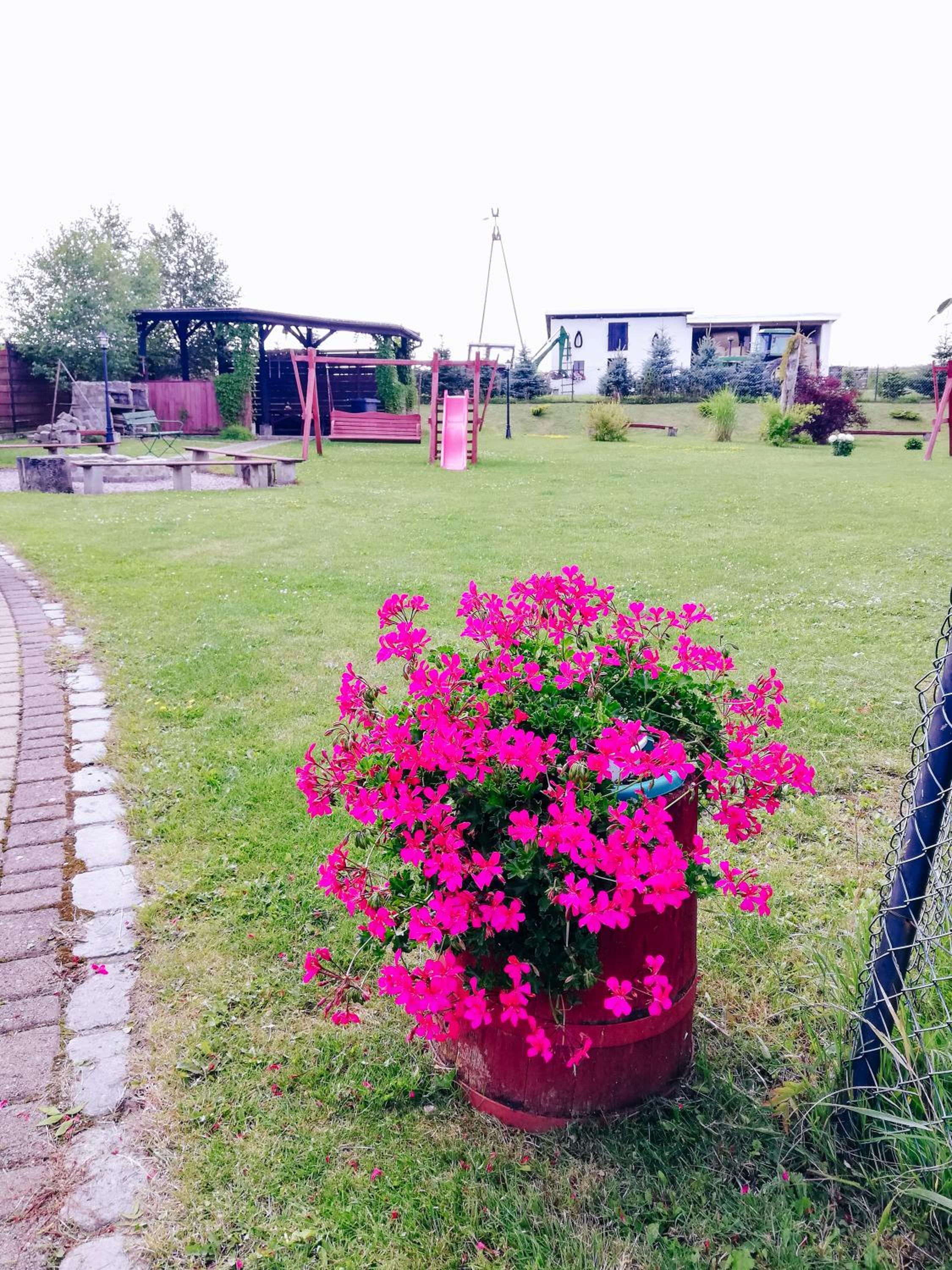 garden