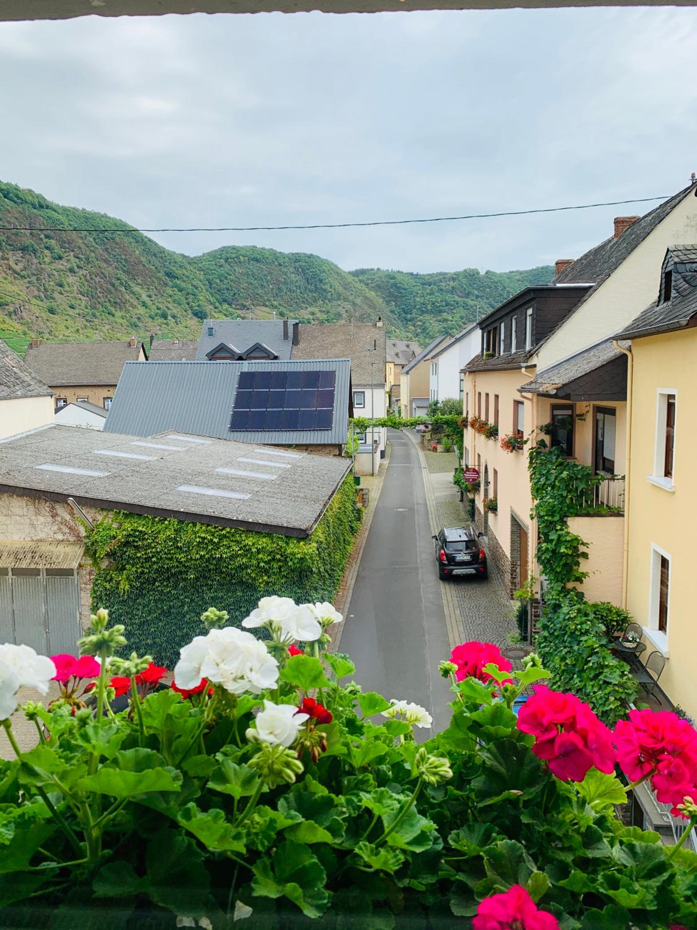 Weinbergs Loge, Kuva 52