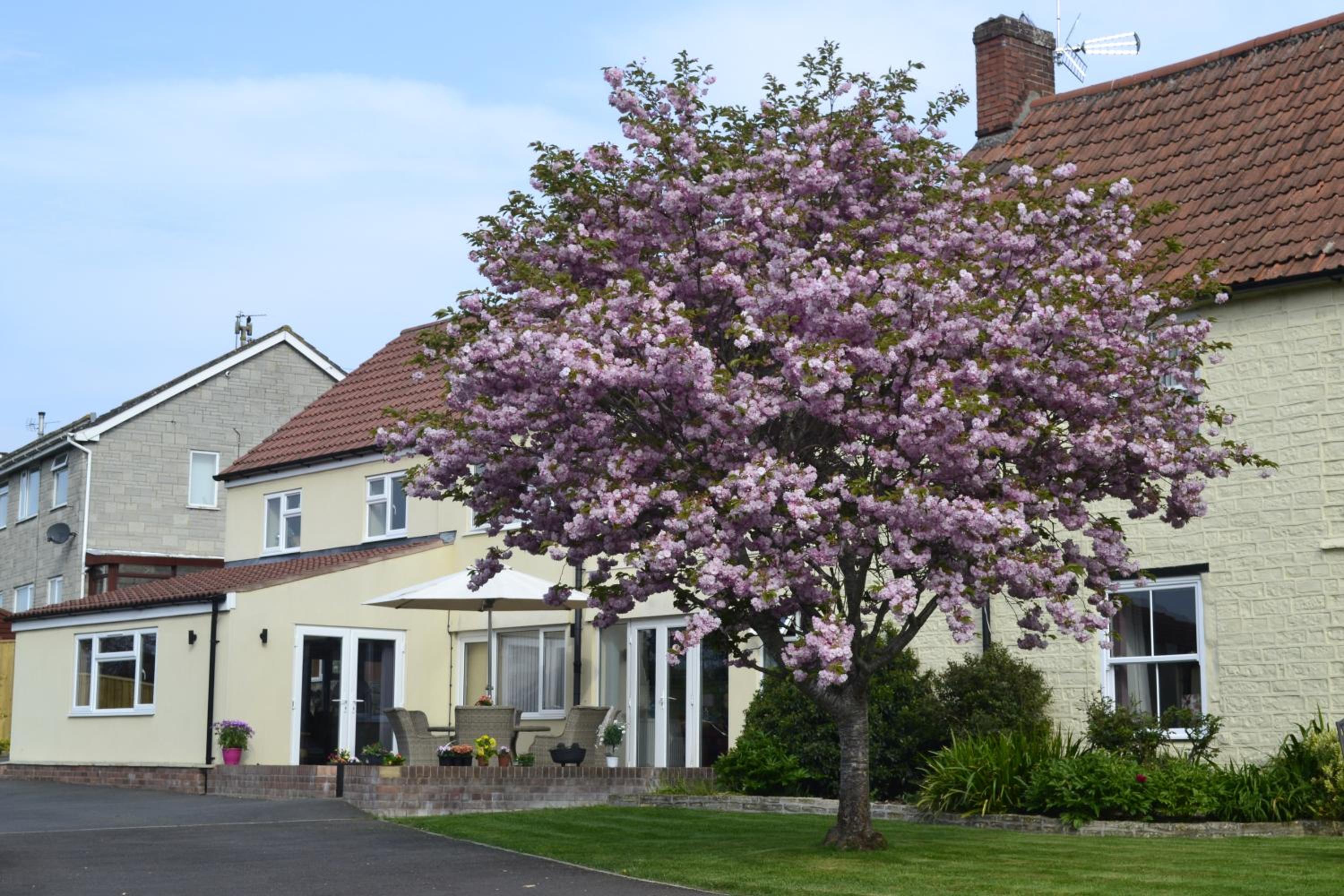 The Lawns Tea Room and B&B view 2