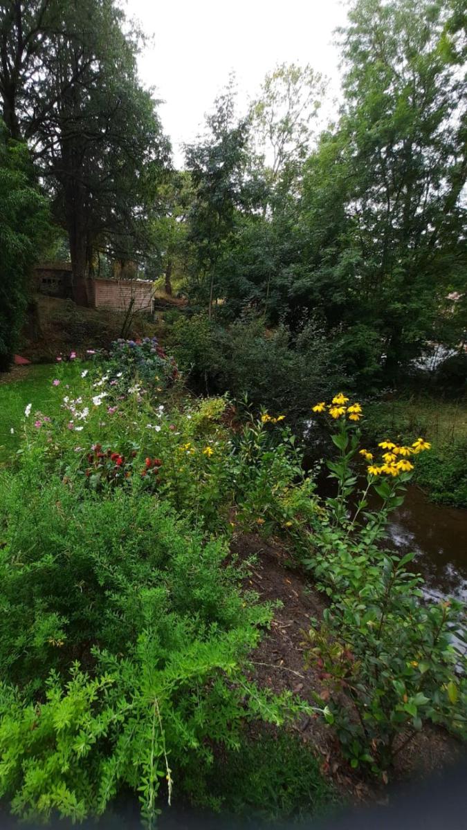 Photo 22
