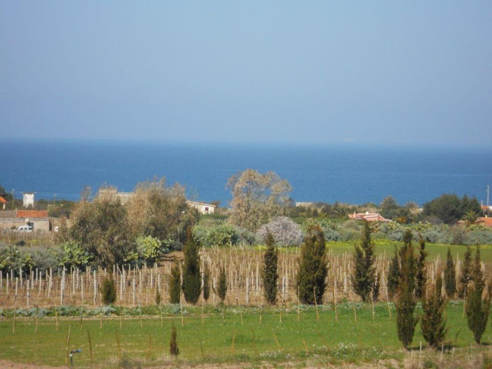 Photo 47