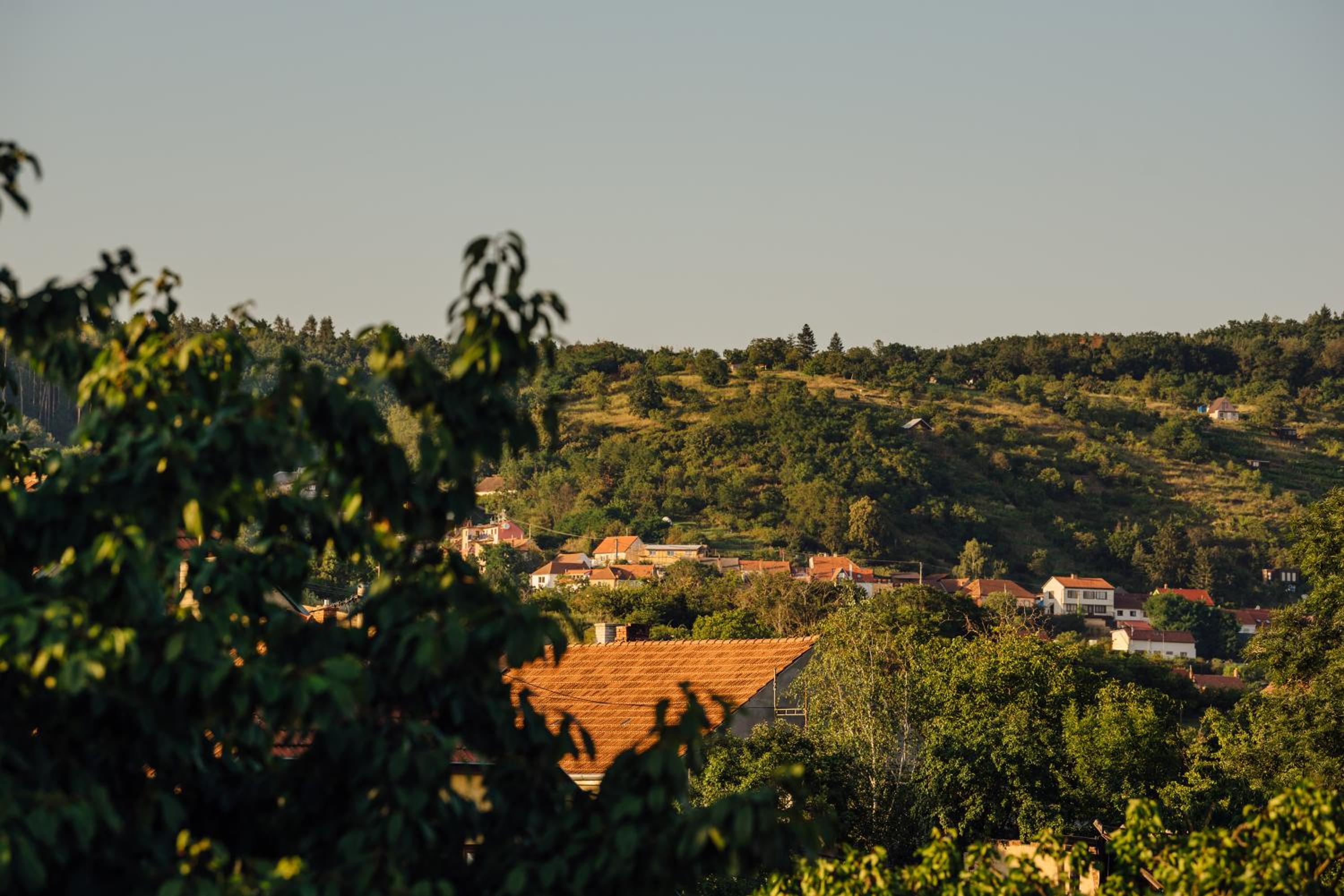 Apartmán Pod borovicí