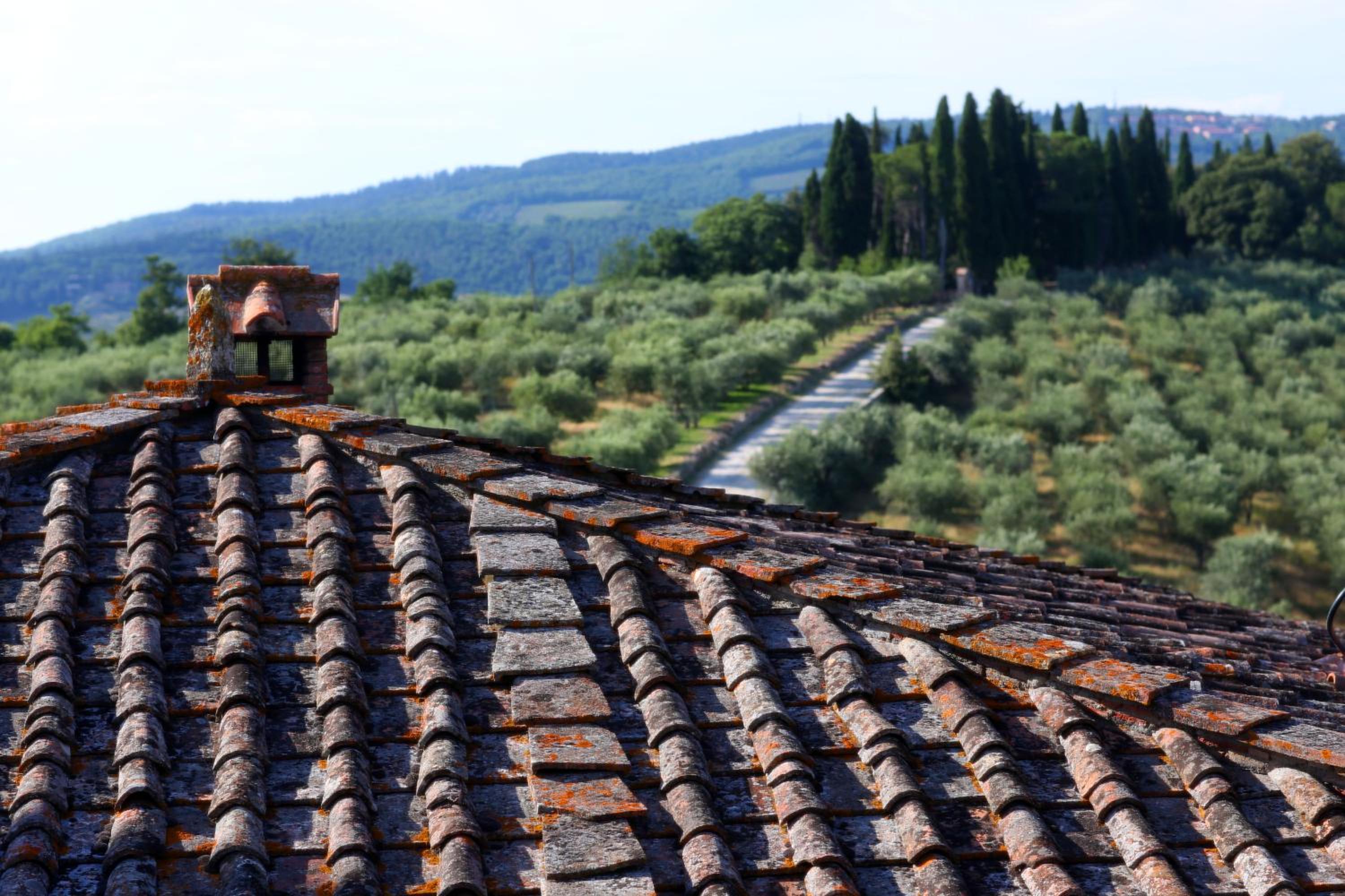 Castello La Leccia