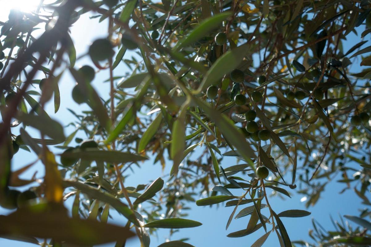 Appartamento in campagna a Sciacca photo 3