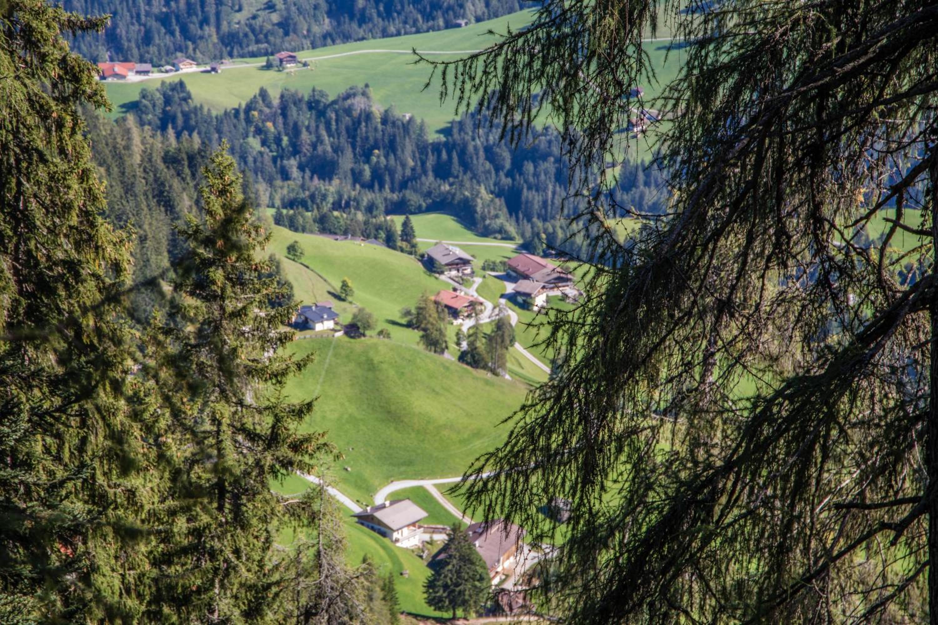 Tradlhof