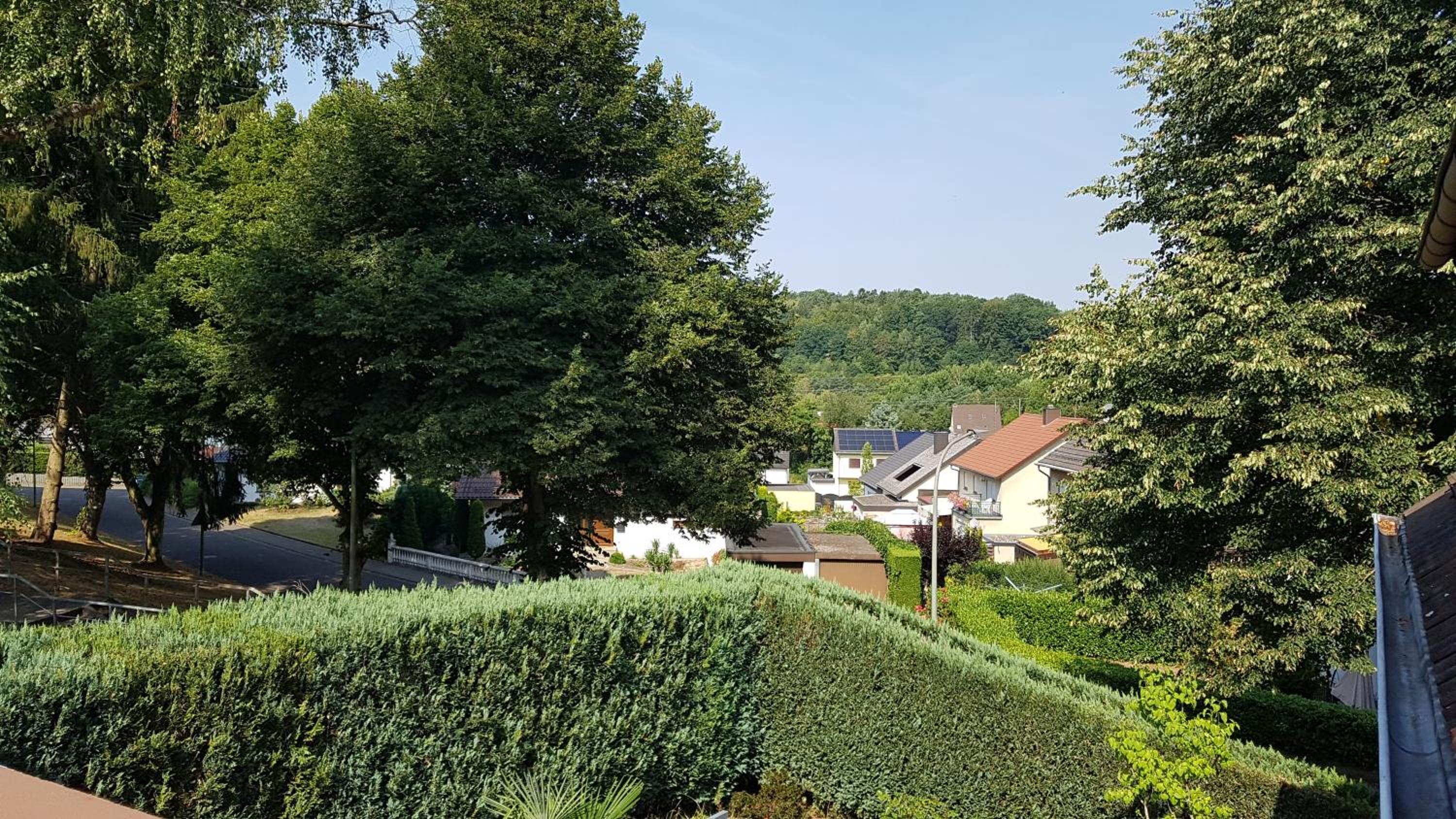 Rentrisch am Waldrand view 3