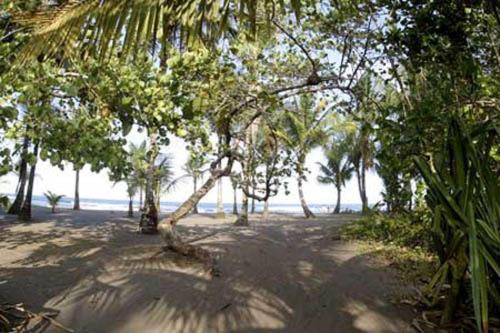 Turtle Beach Lodge