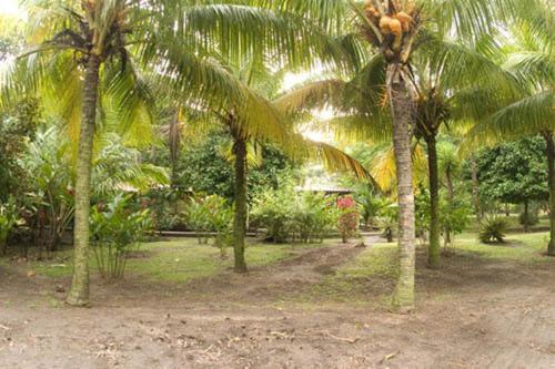 Turtle Beach Lodge