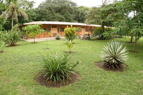 Turtle Beach Lodge