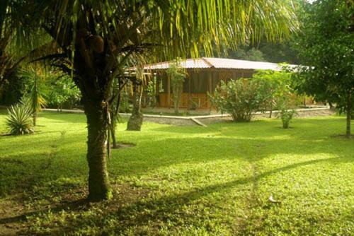 Turtle Beach Lodge