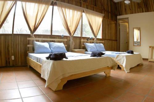 Turtle Beach Lodge