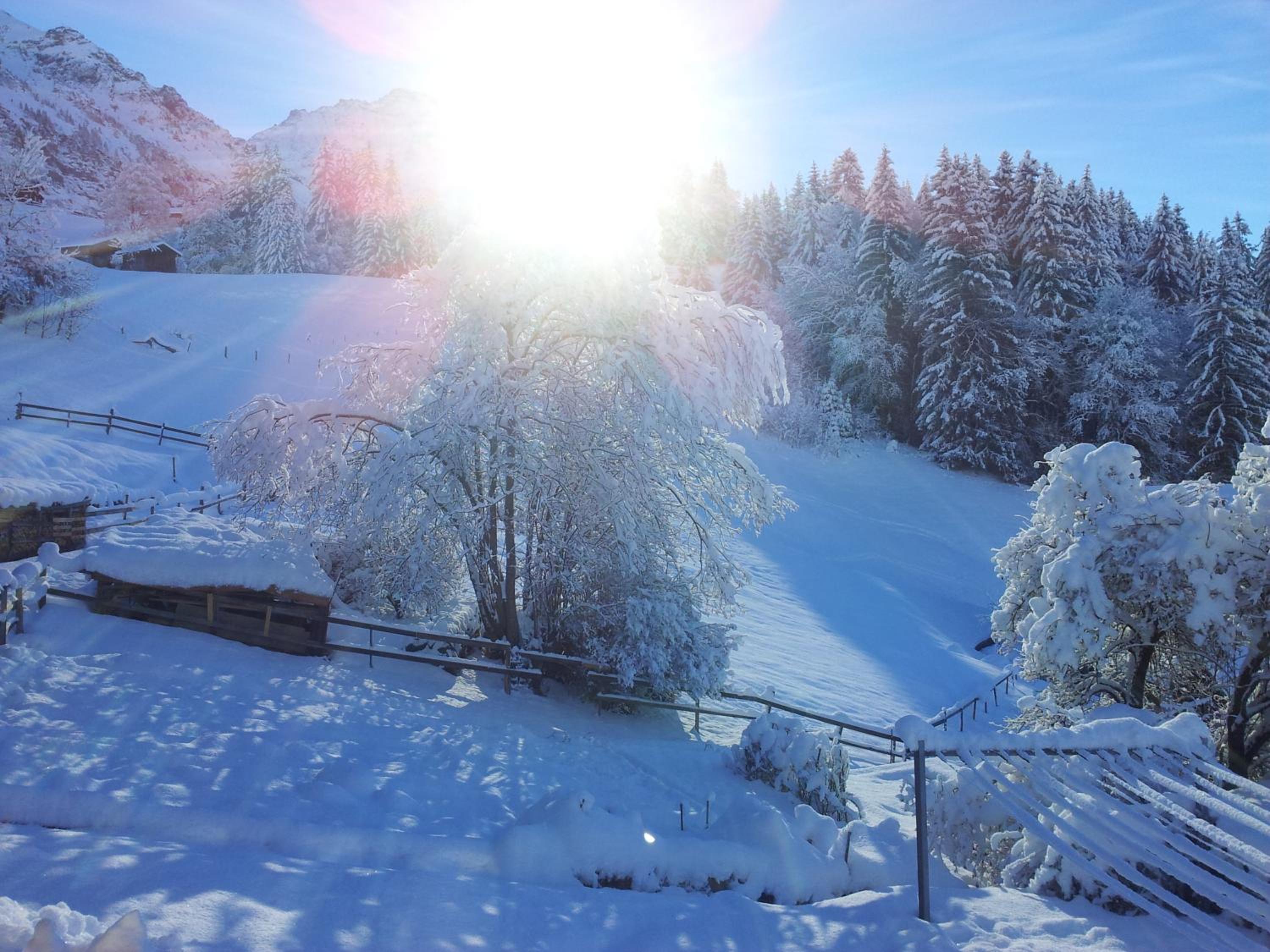 Chalet Viola - Verena's Loft
