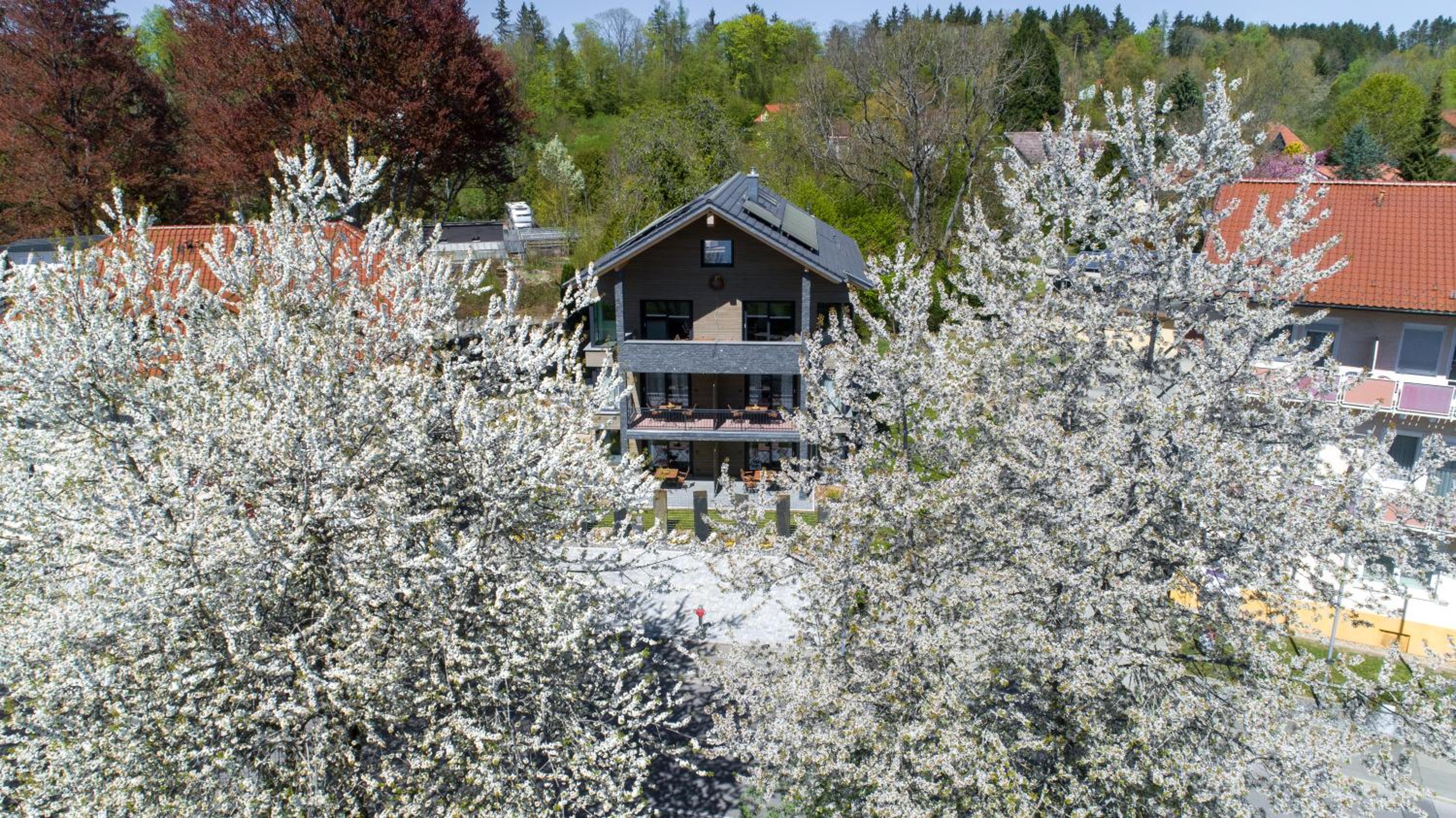 INVITA Natur-Chalets Penthouse - Familienurlaub im Schwarzwald - 240qm