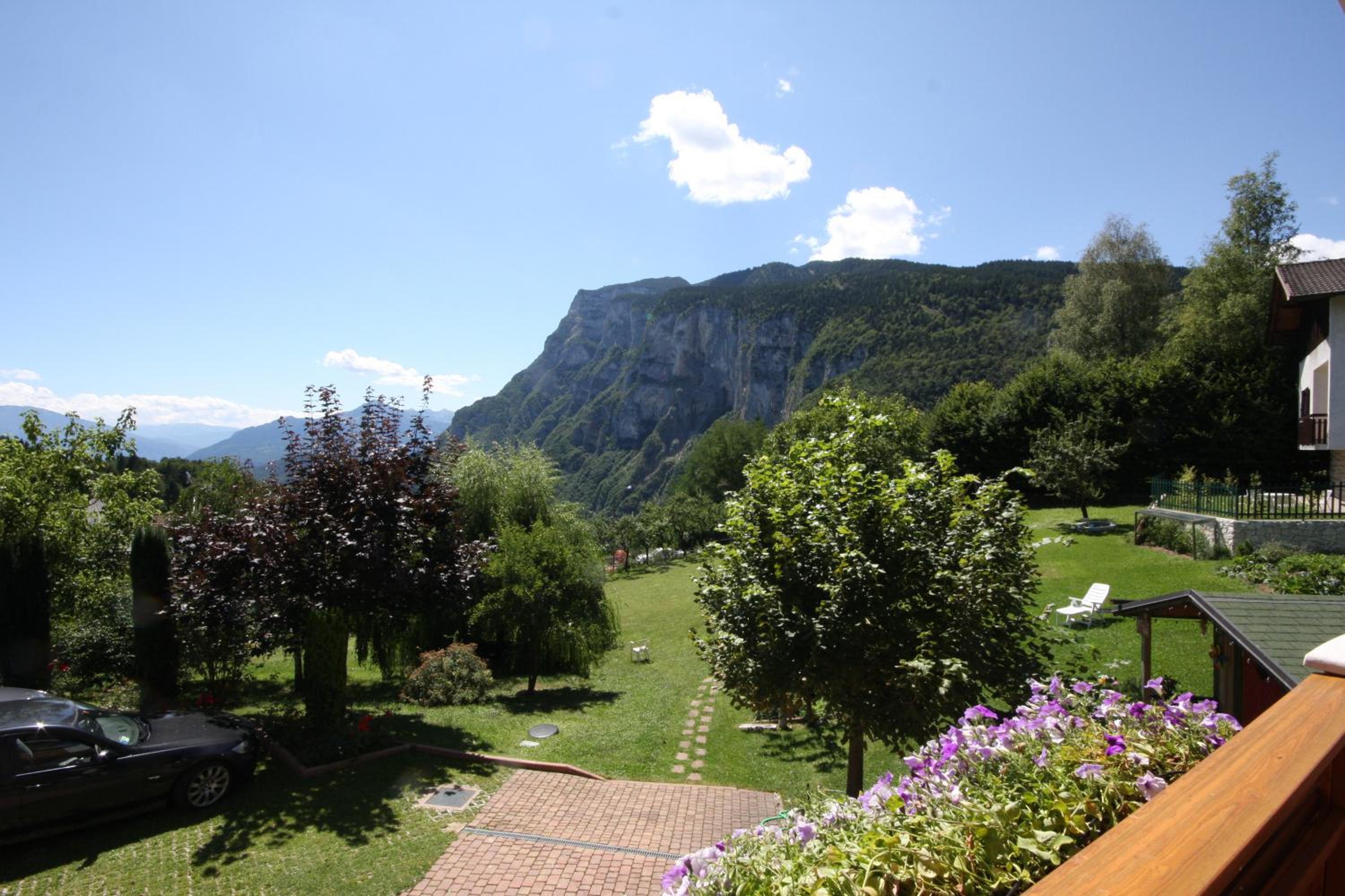 Photo 45