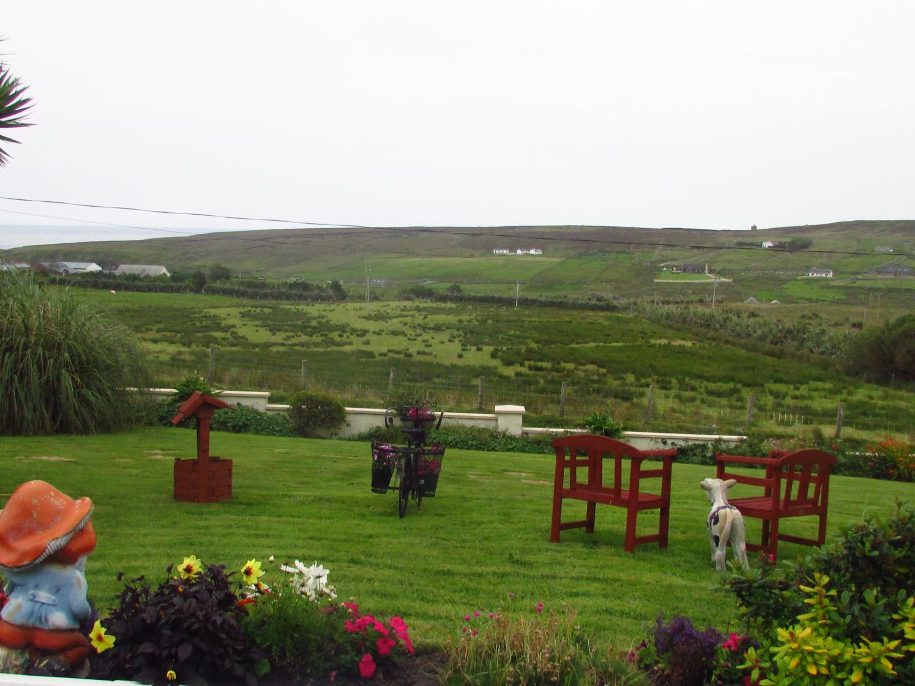 The Yellow Rose B&B