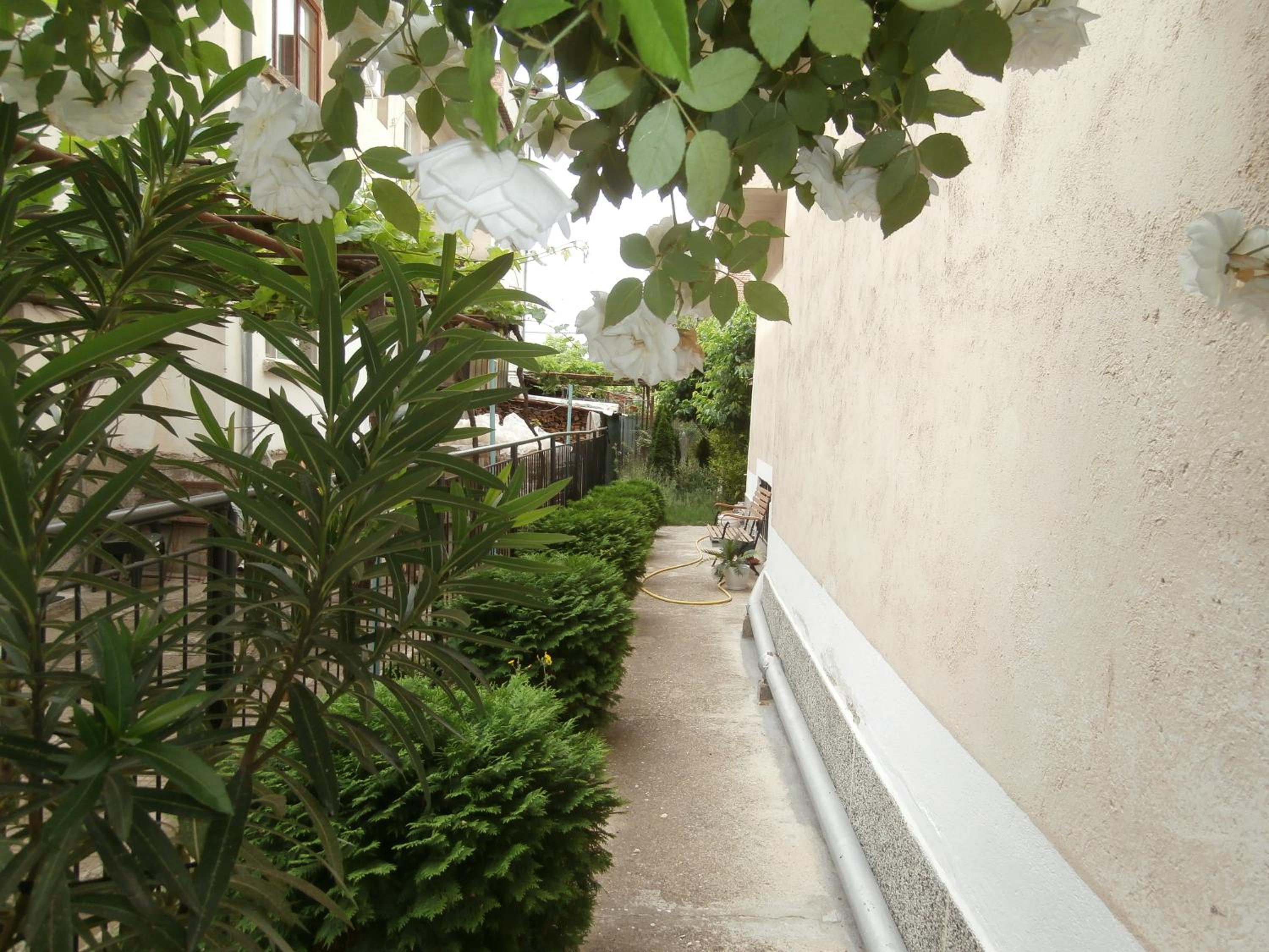 Apartments in House Silent Nature