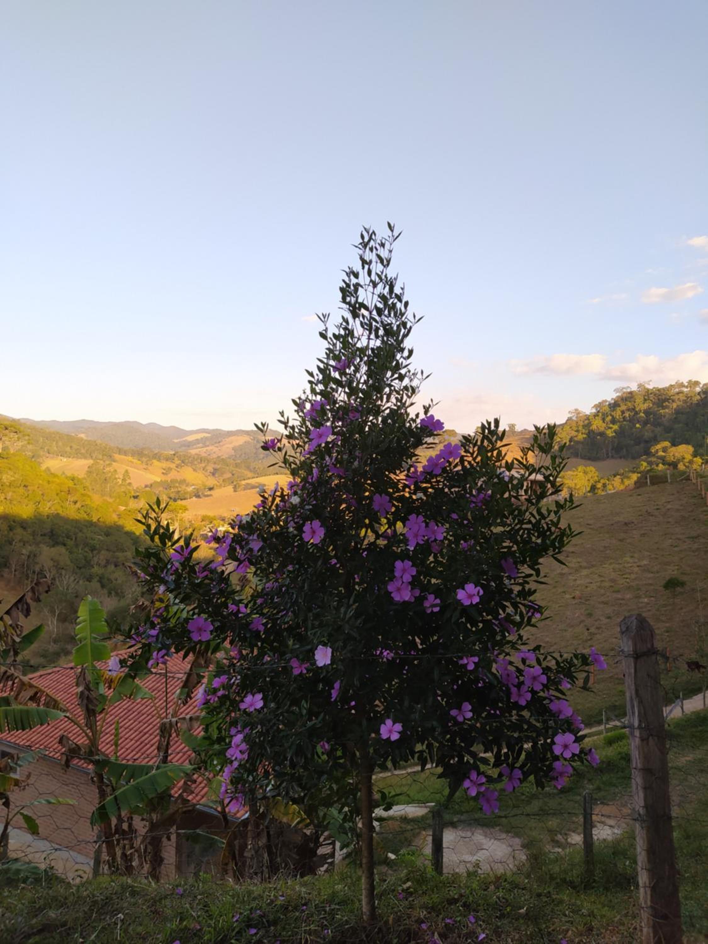 Rancho dos Mantas