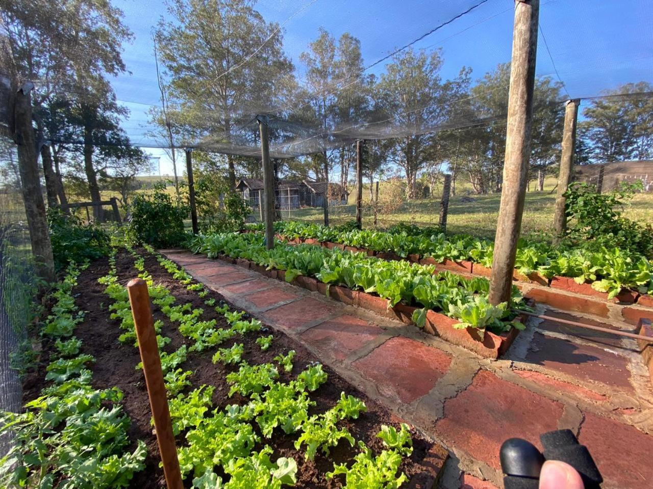 Pousada Fazenda Pinhalzinho
