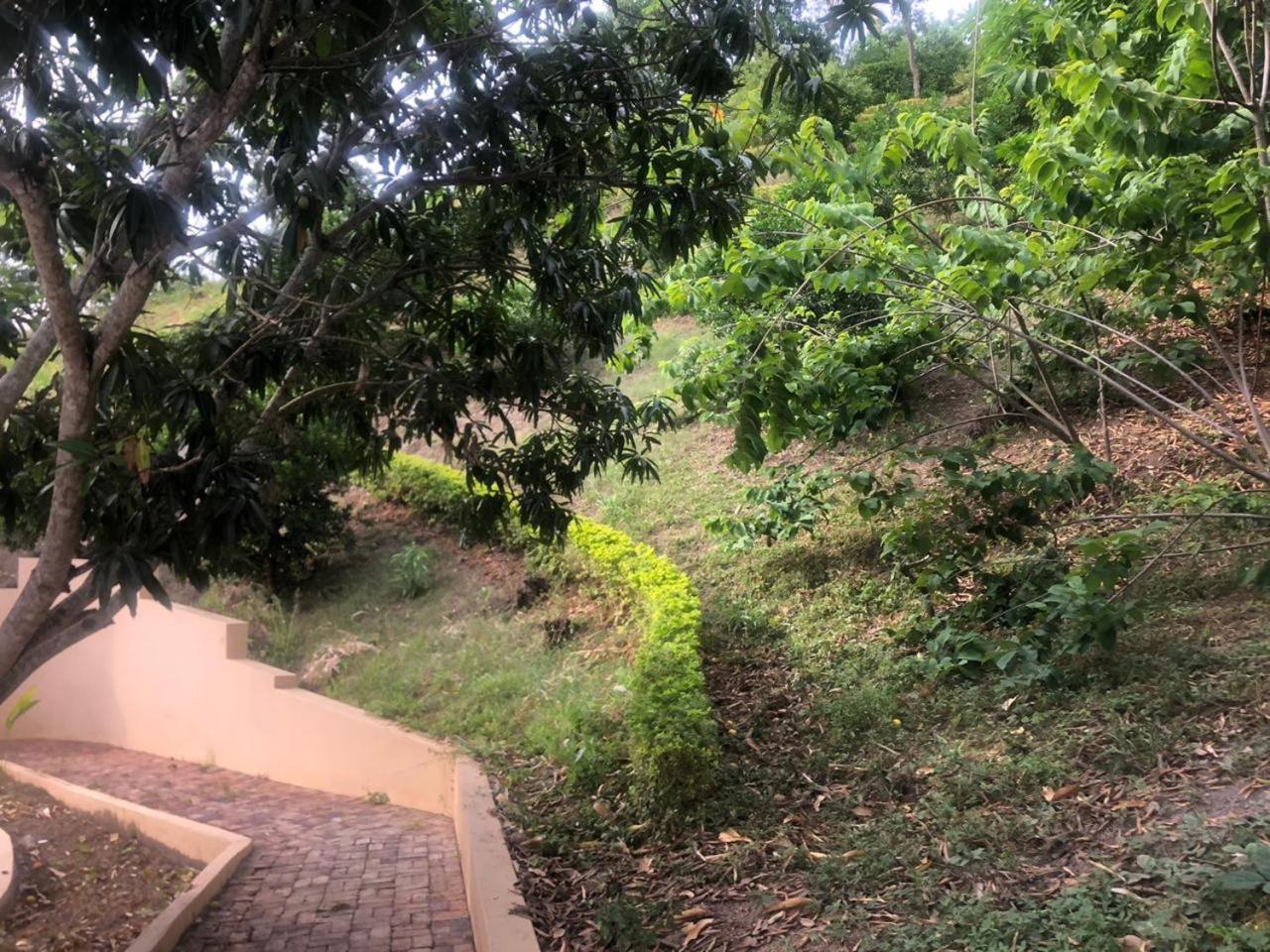 CASA EL MIRADOR