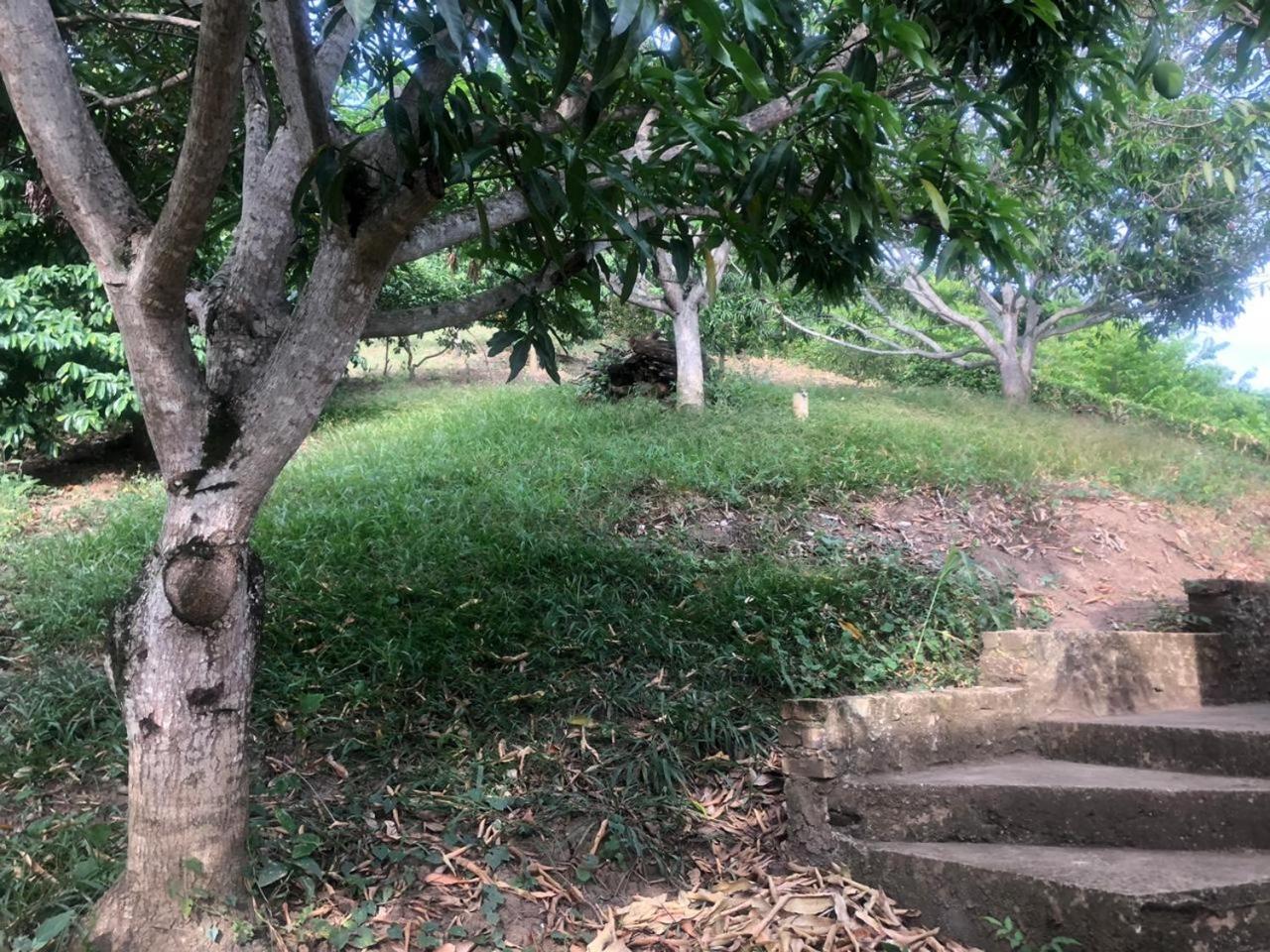 CASA EL MIRADOR