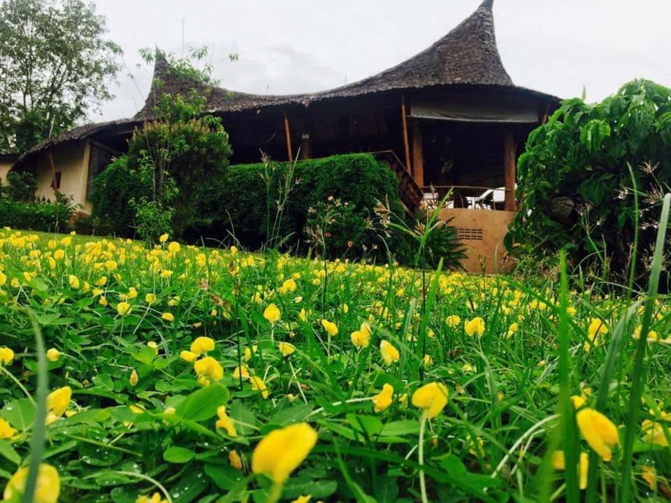 Mari Pai Resort