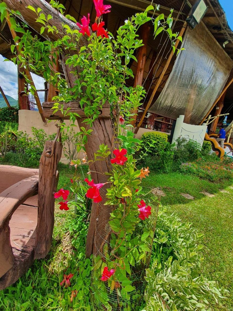 Mari Pai Resort