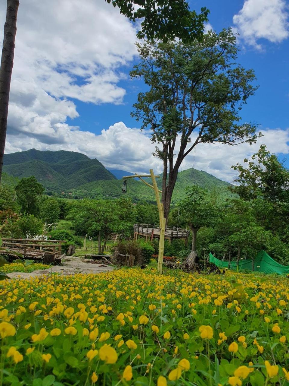 Mari Pai Resort