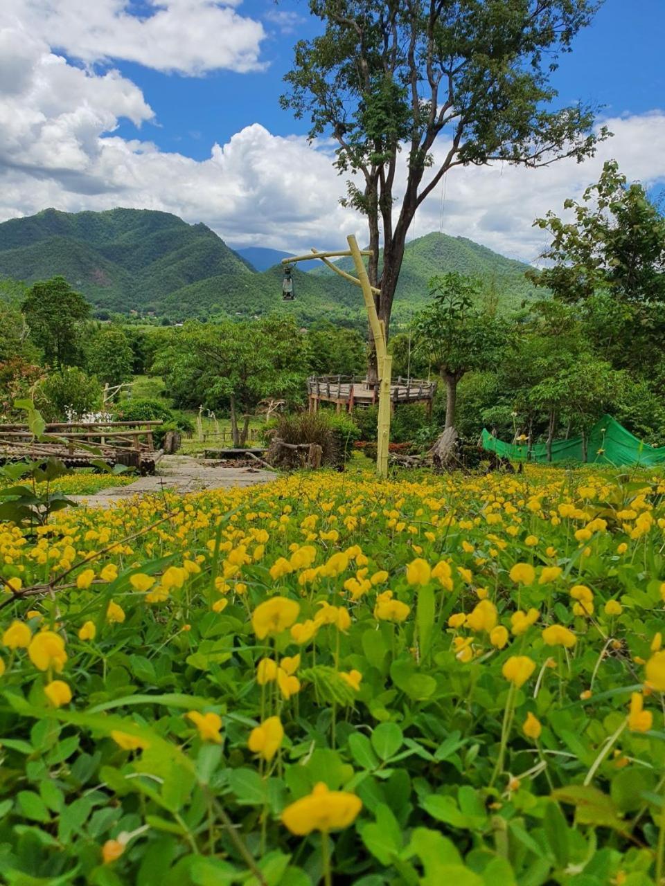 Mari Pai Resort