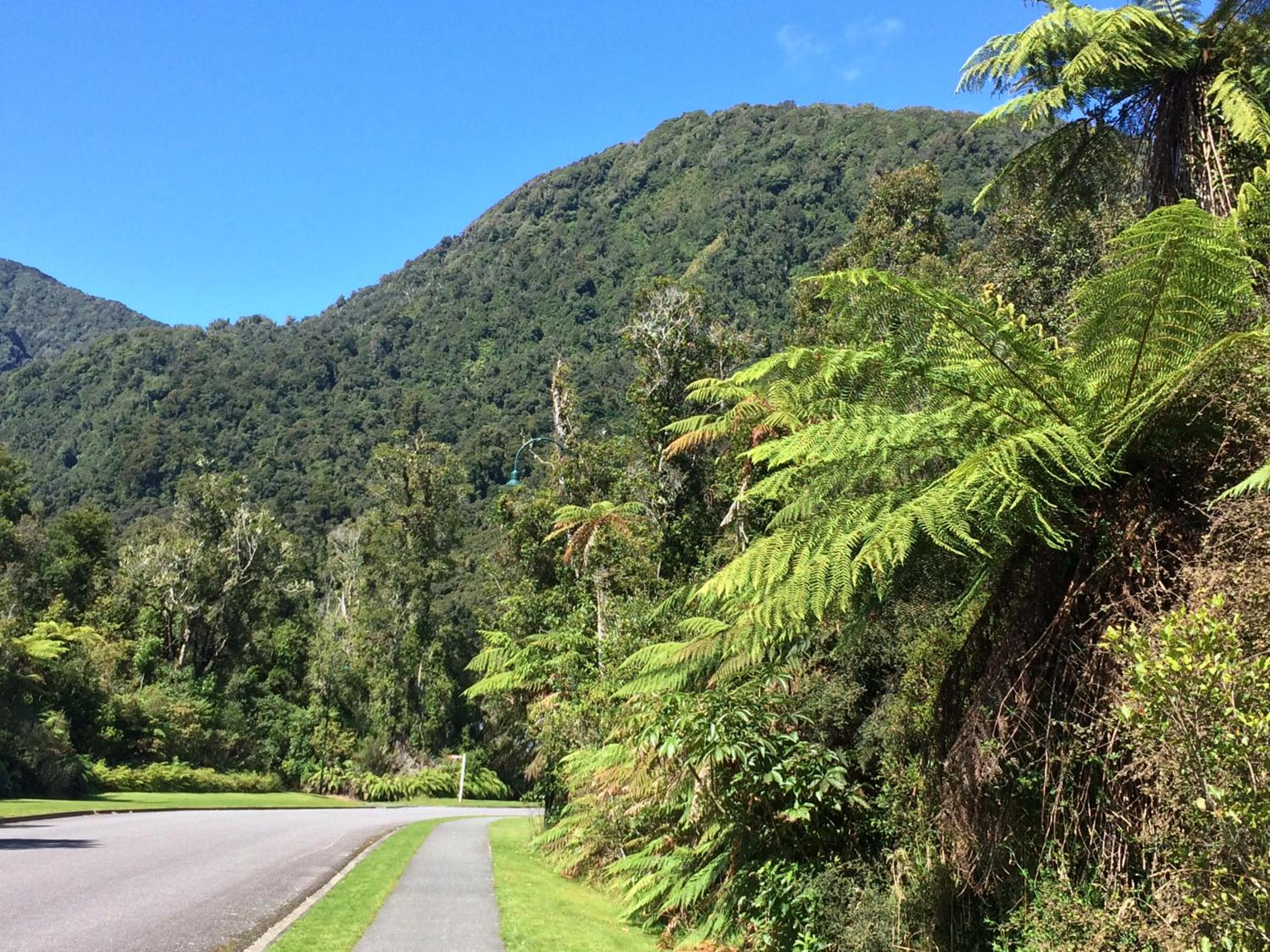 The Ferns Hideaway view 4