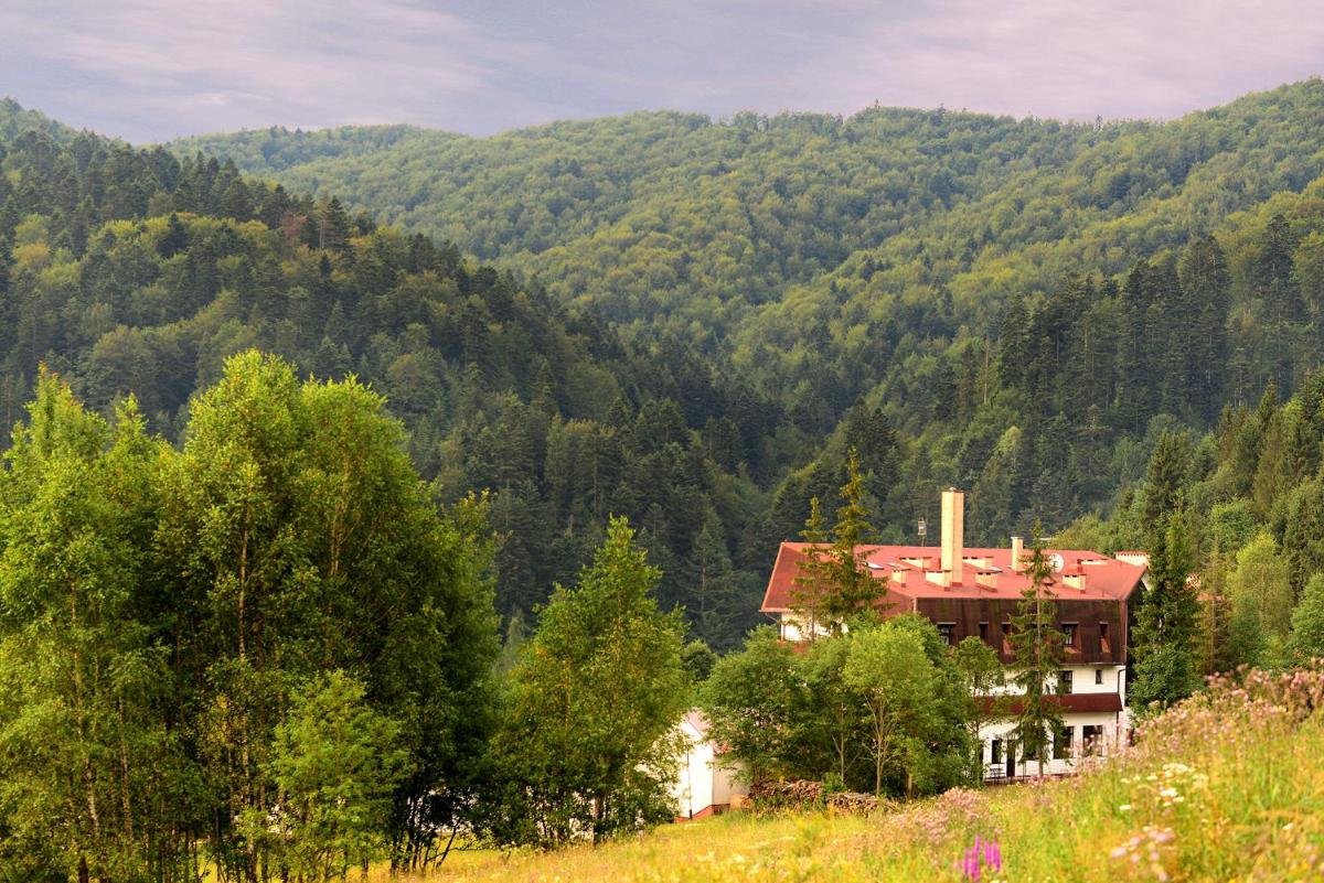 Perełka Bieszczady view 3