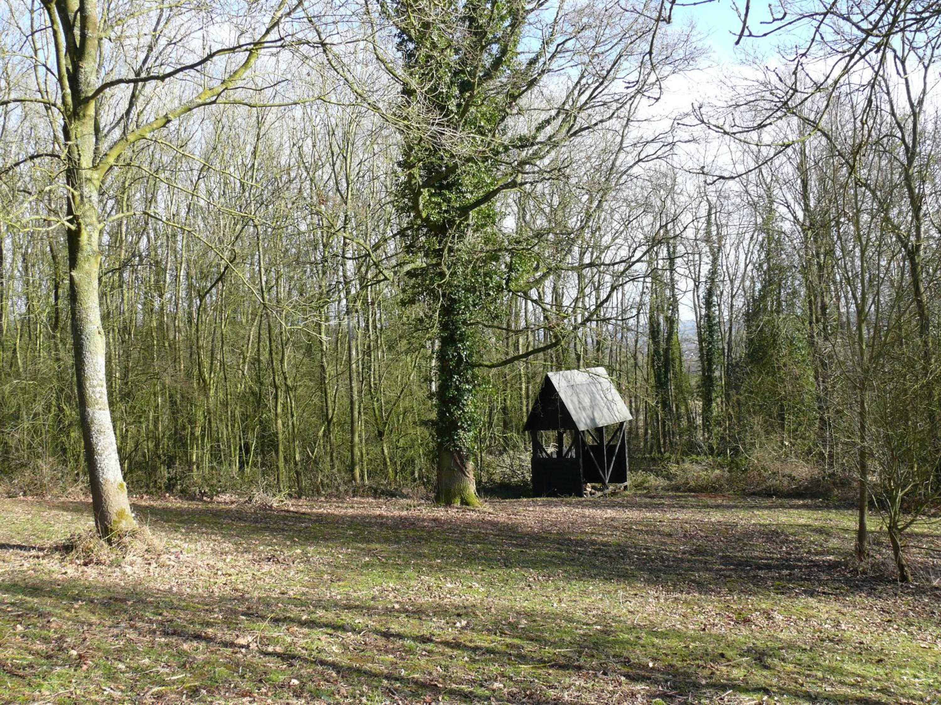 Photo 23