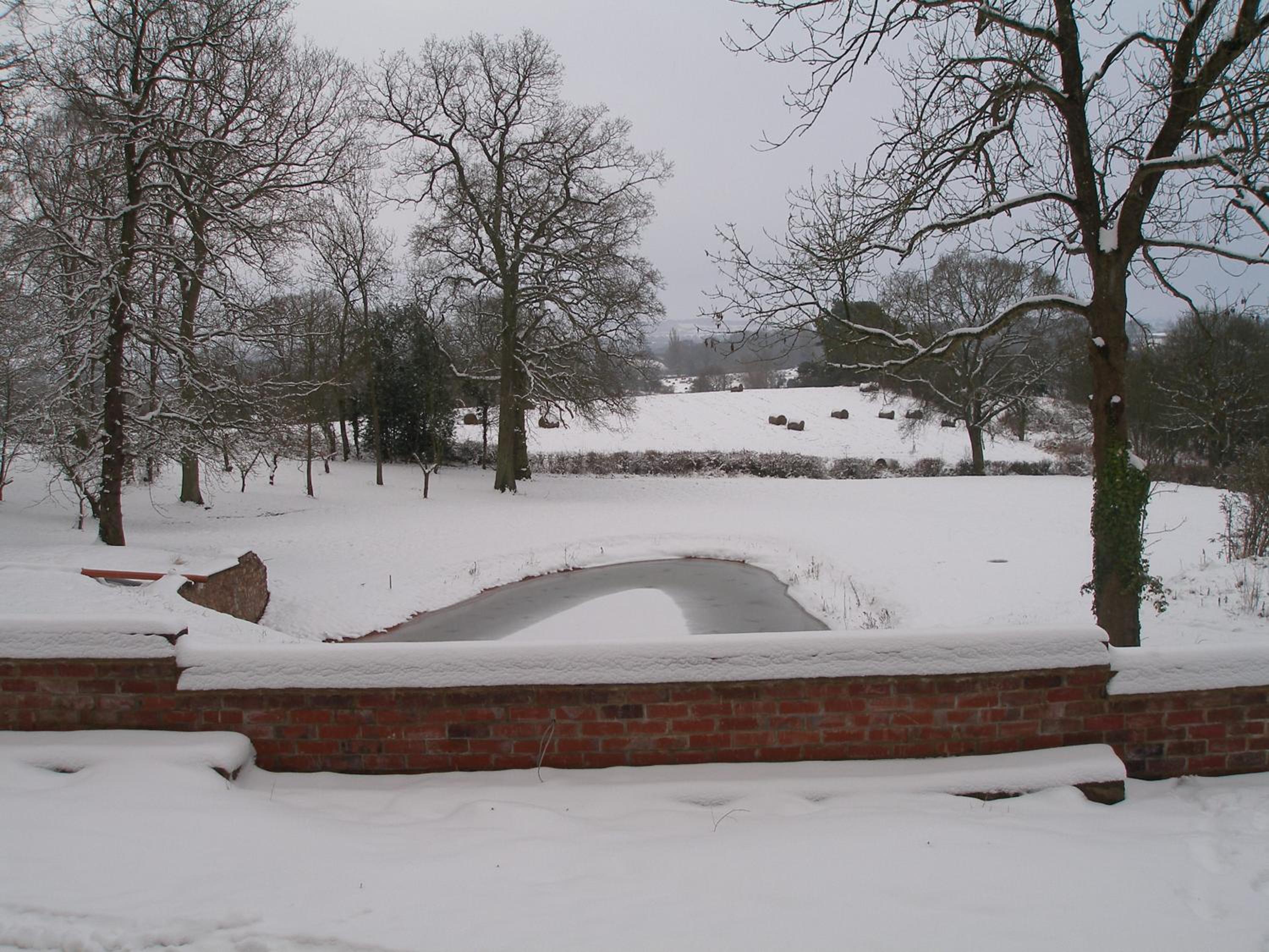 Photo 25