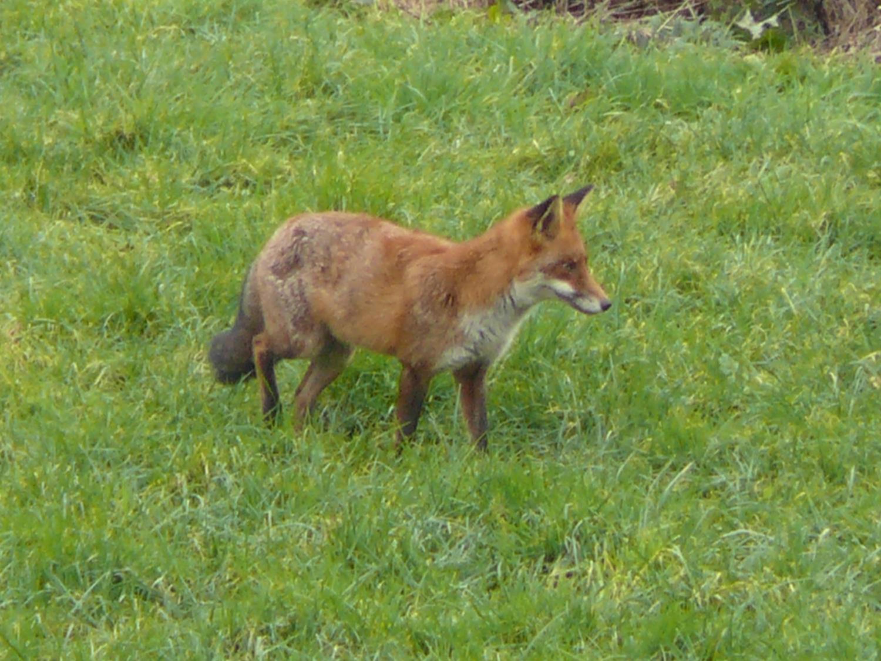 Photo 28