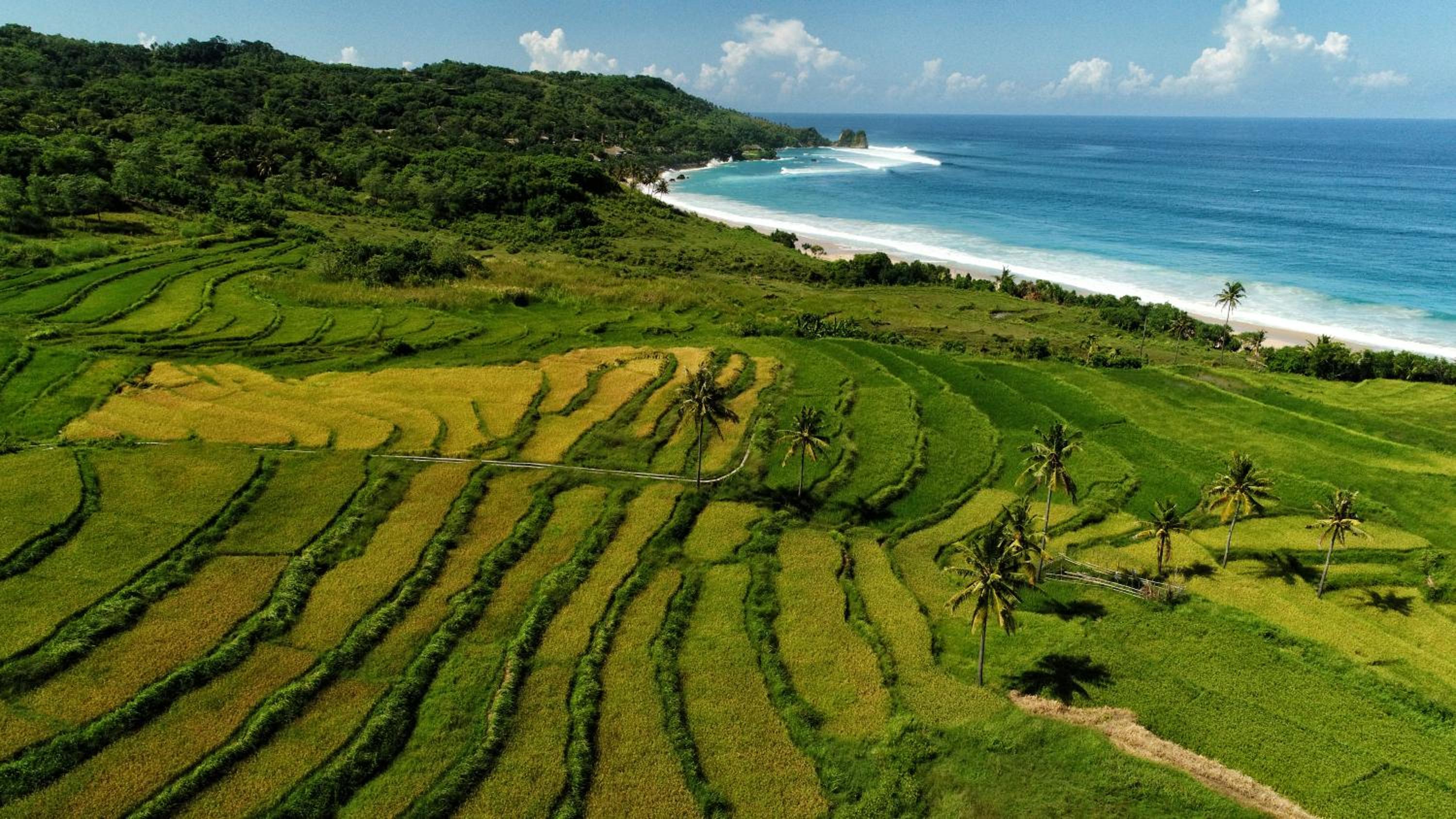 NIHI Sumba - 50 Best Hotels of the World