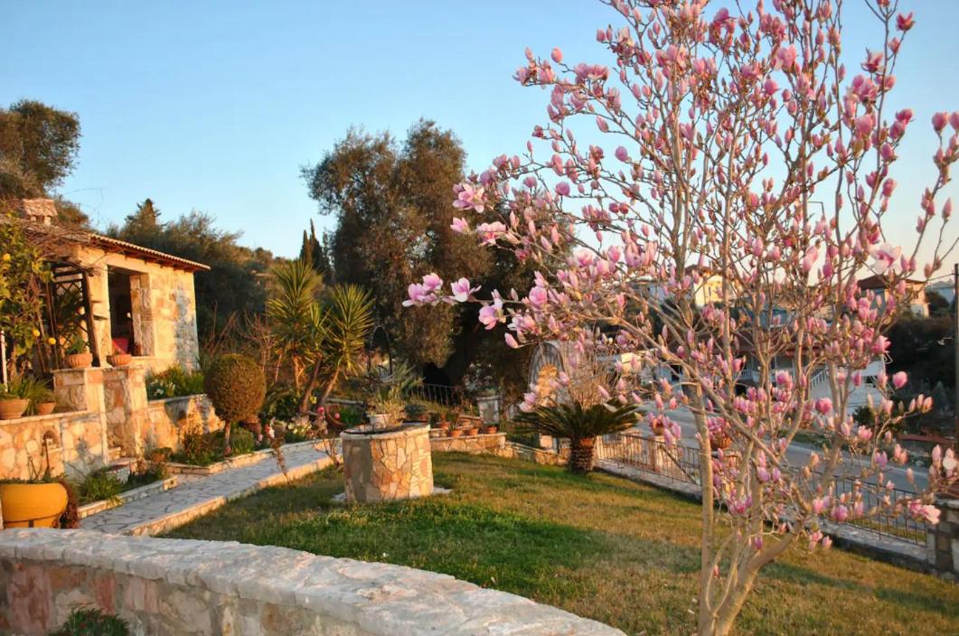 Photo 29