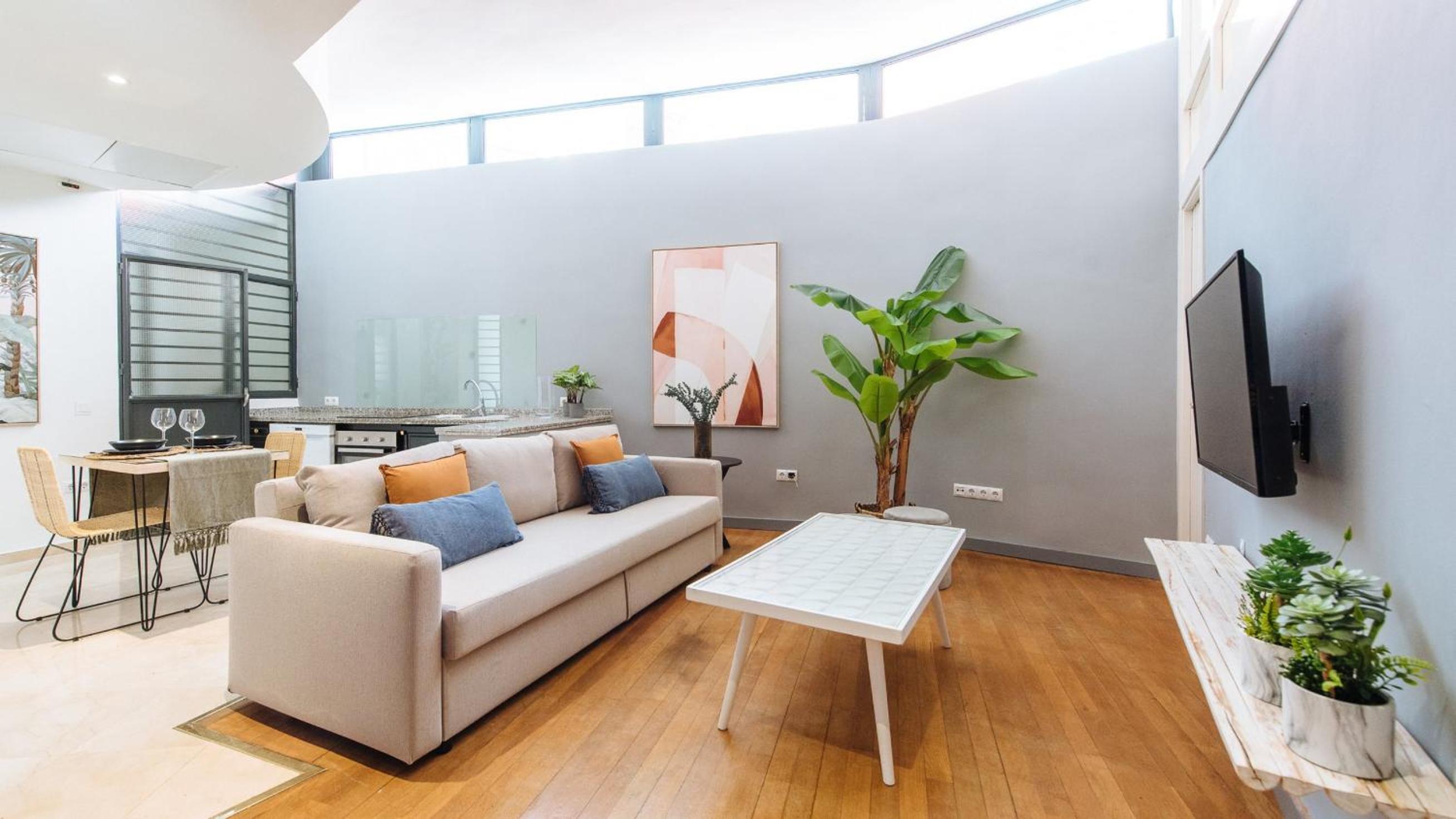 Conde de Ibarra Suite Apartment view 5