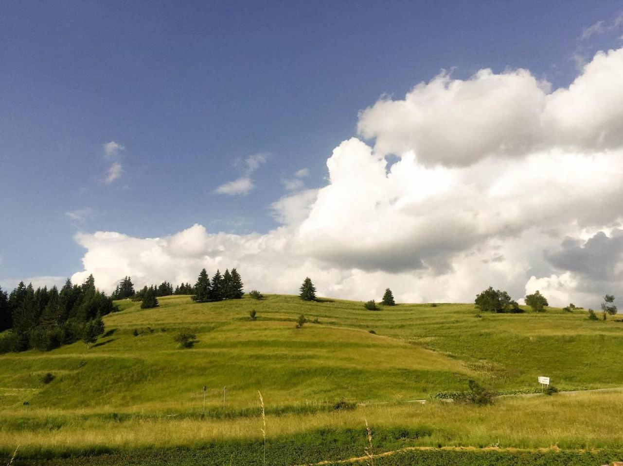 Stoykite-Pamporovo Nature Retreat view 5