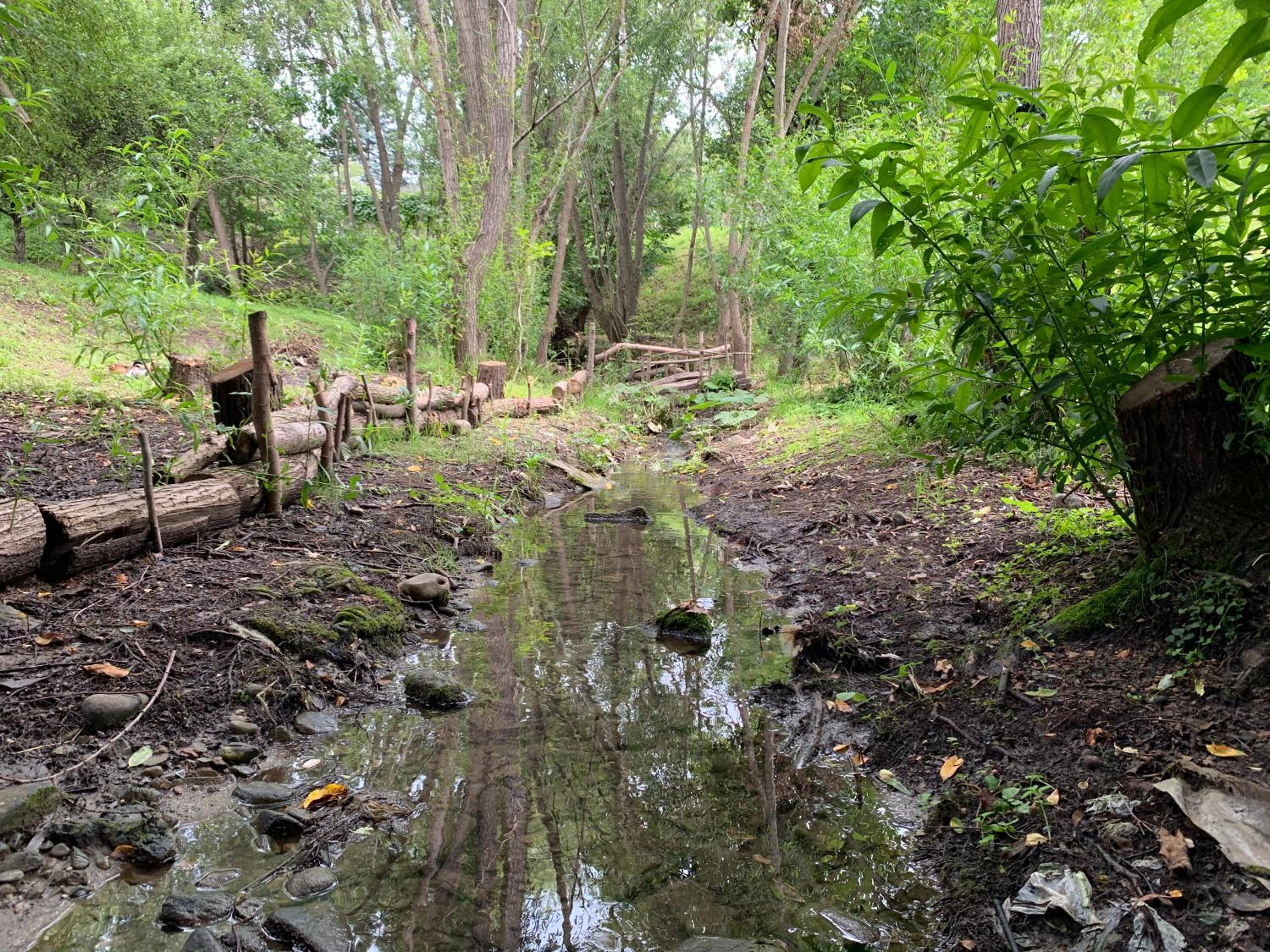 Casa rurală cu livadă LavAndra