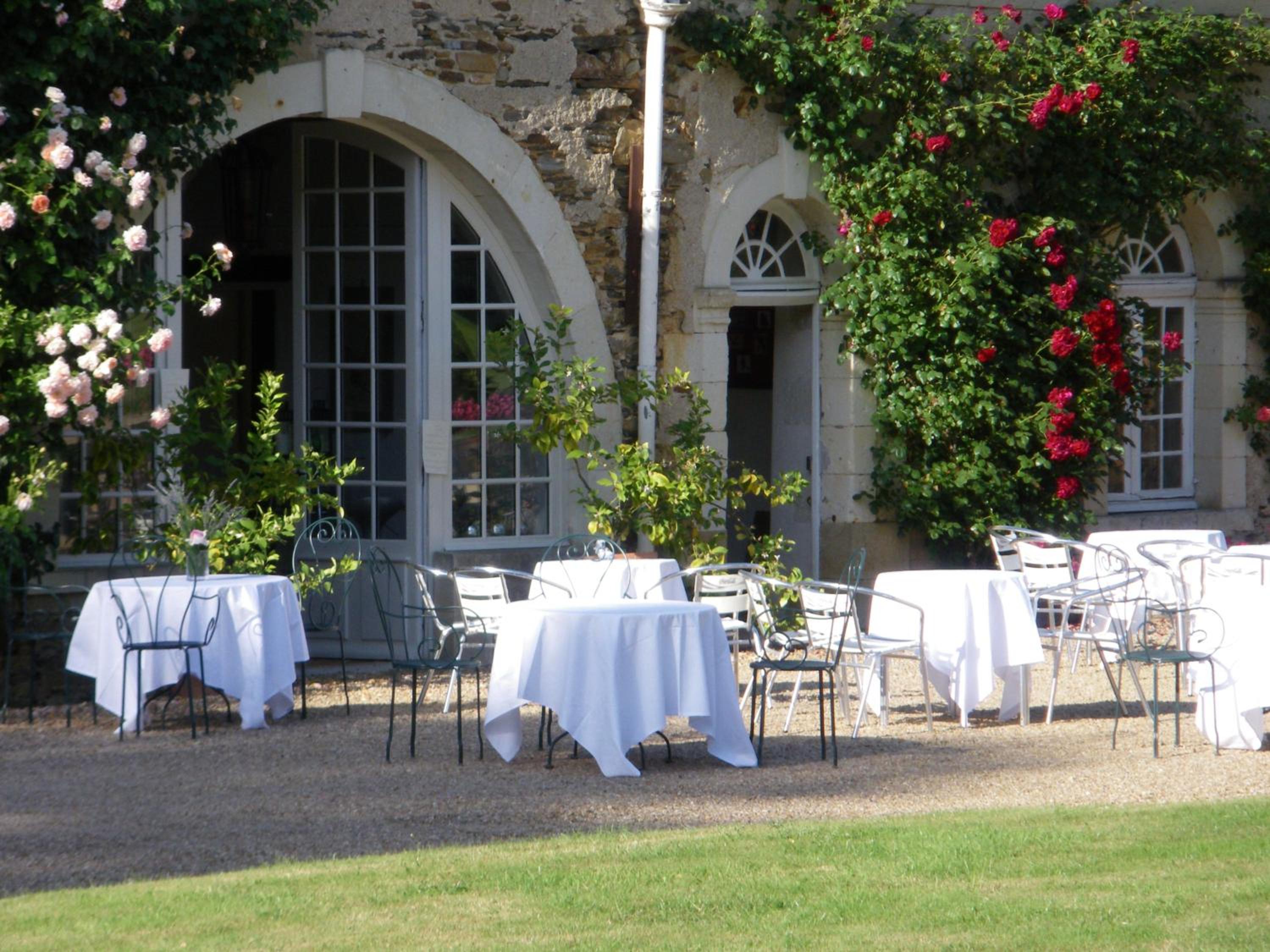 Château du Plessis - Anjou view 5