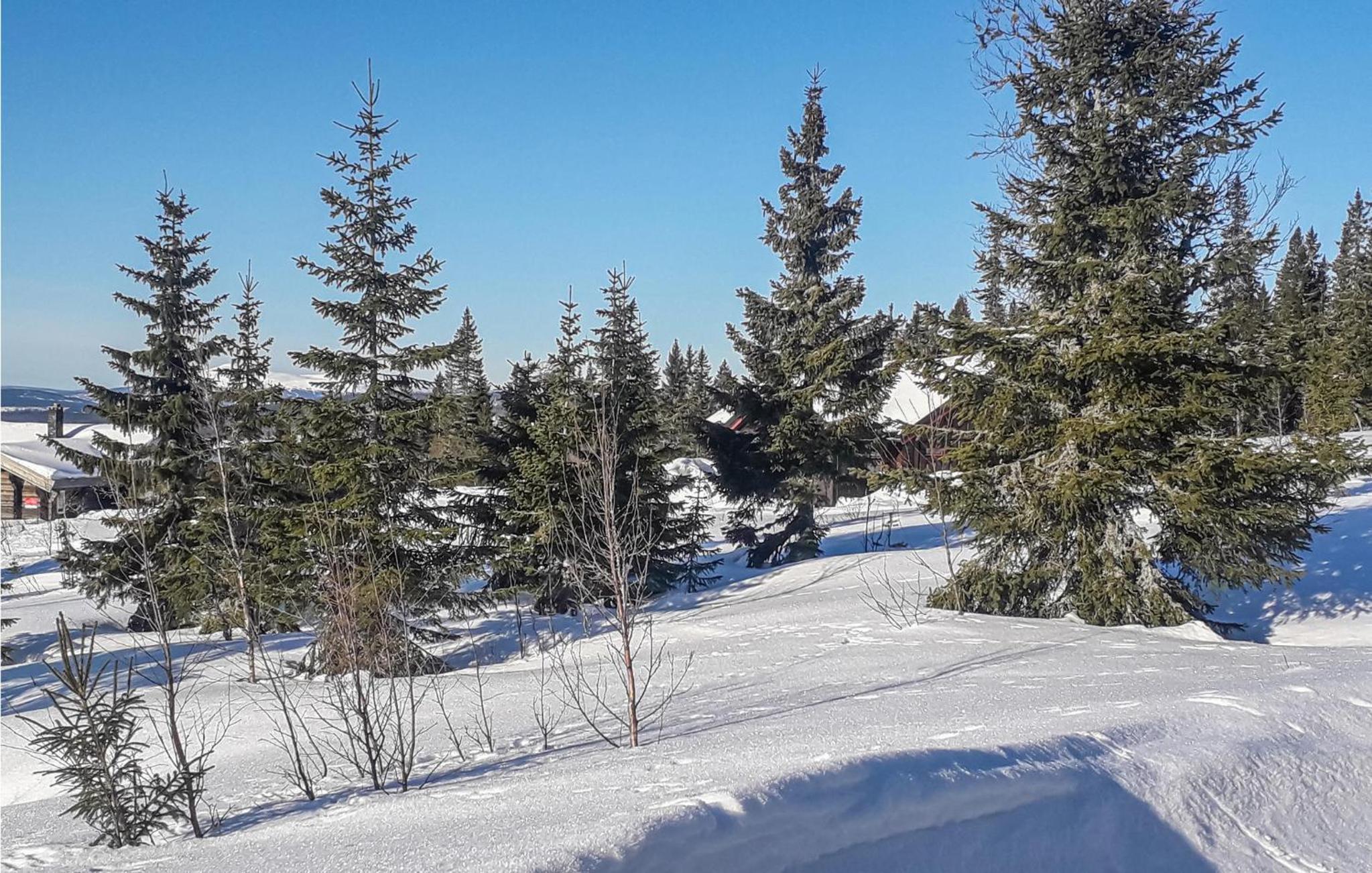 Gorgeous Home In Østby With Wifi