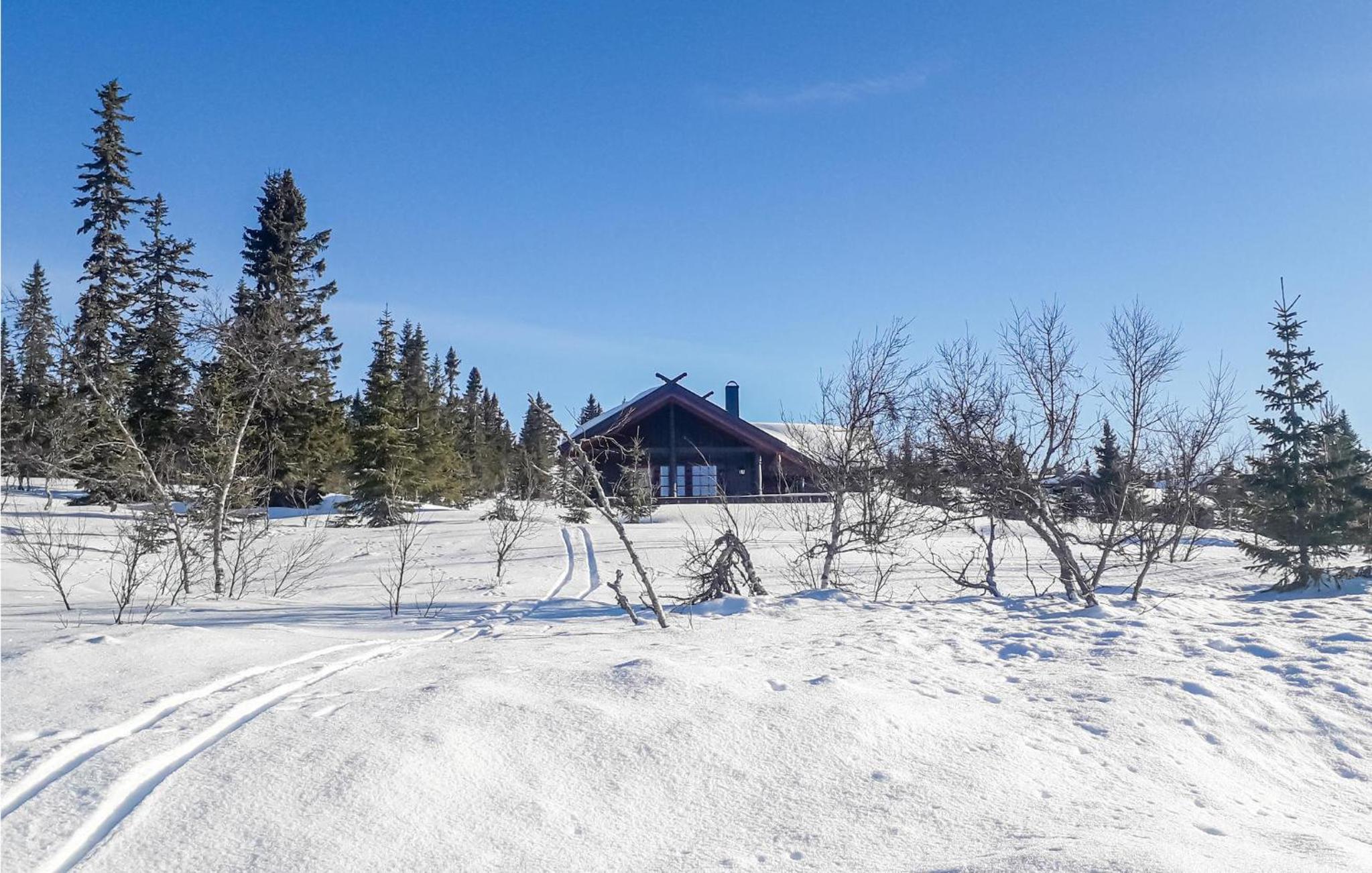 Gorgeous Home In Østby With Wifi