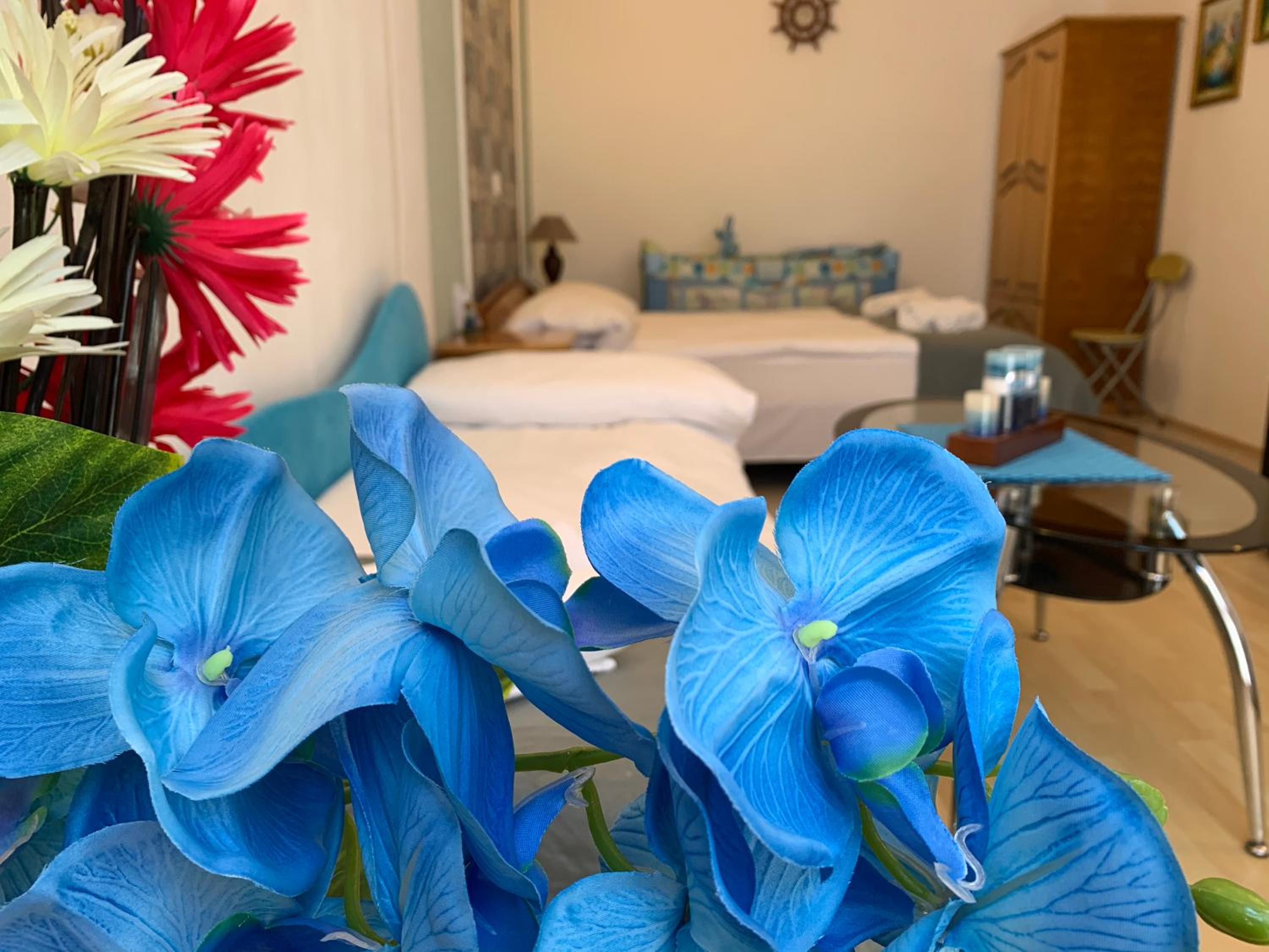 Sunray Guest House, Private Rooms & Apartment with Lovely Sea View
