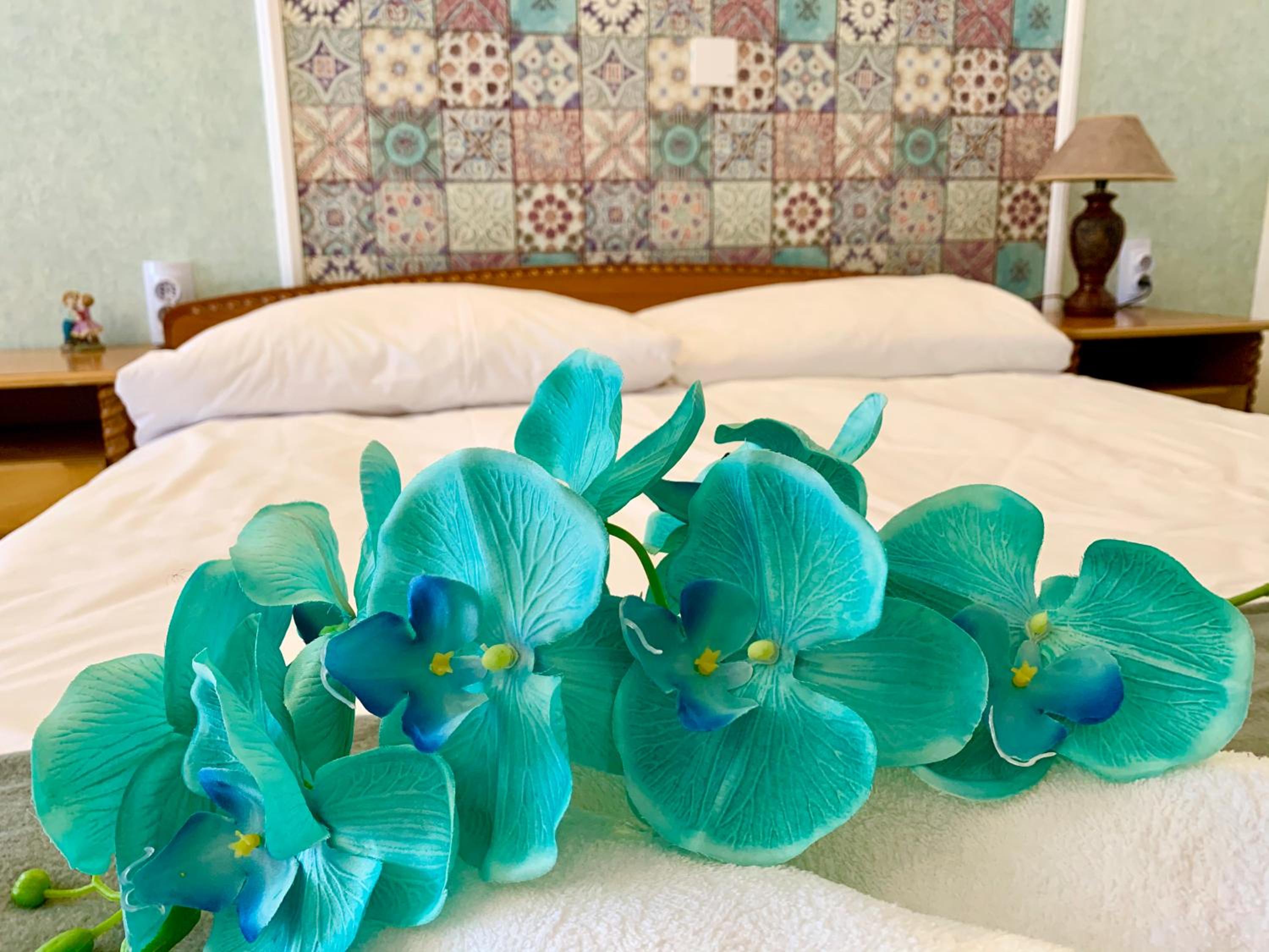 Sunray Guest House, Private Rooms & Apartment with Lovely Sea View