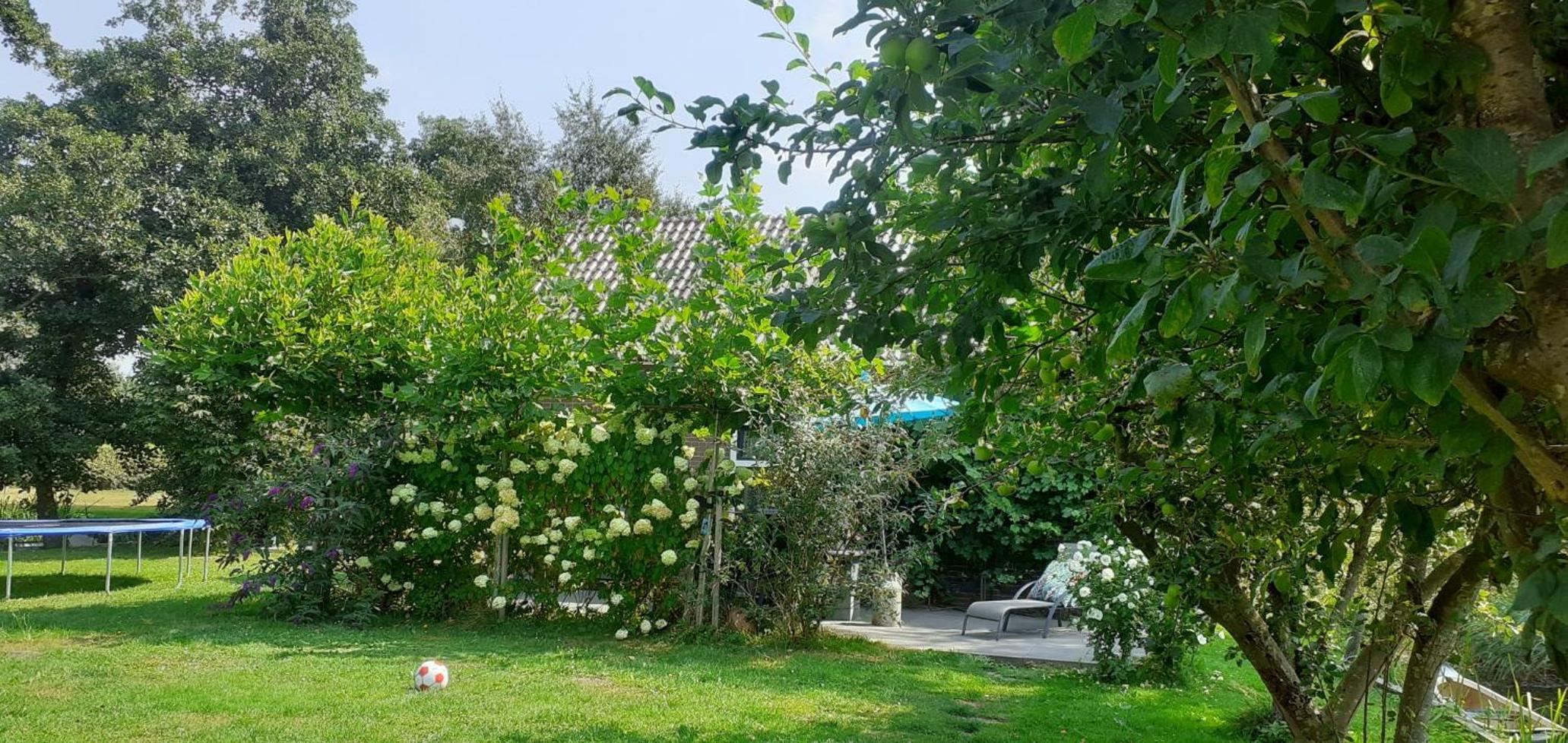 Photo 7