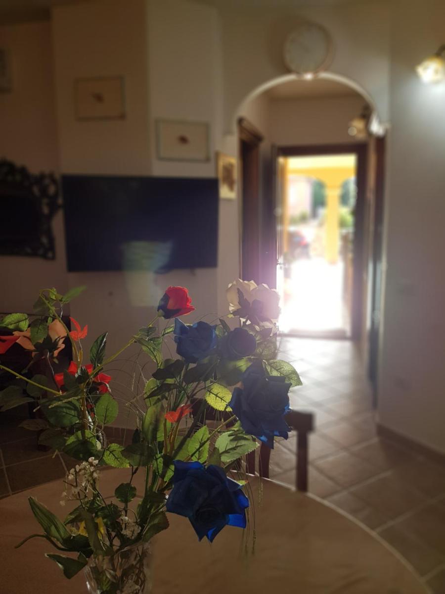 Luxury apartament Alice photo 5
