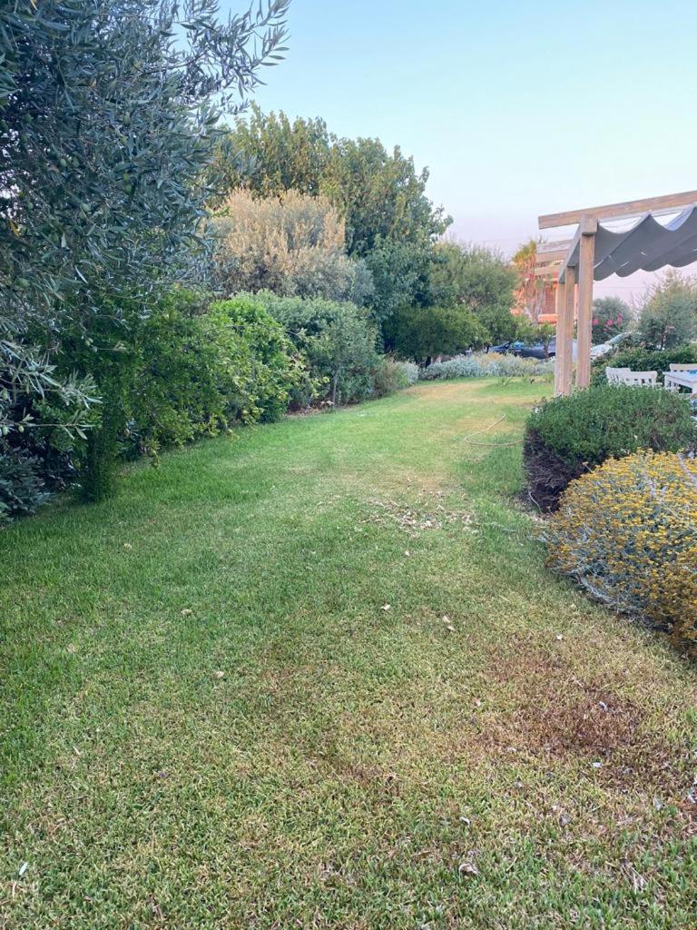 Photo 23